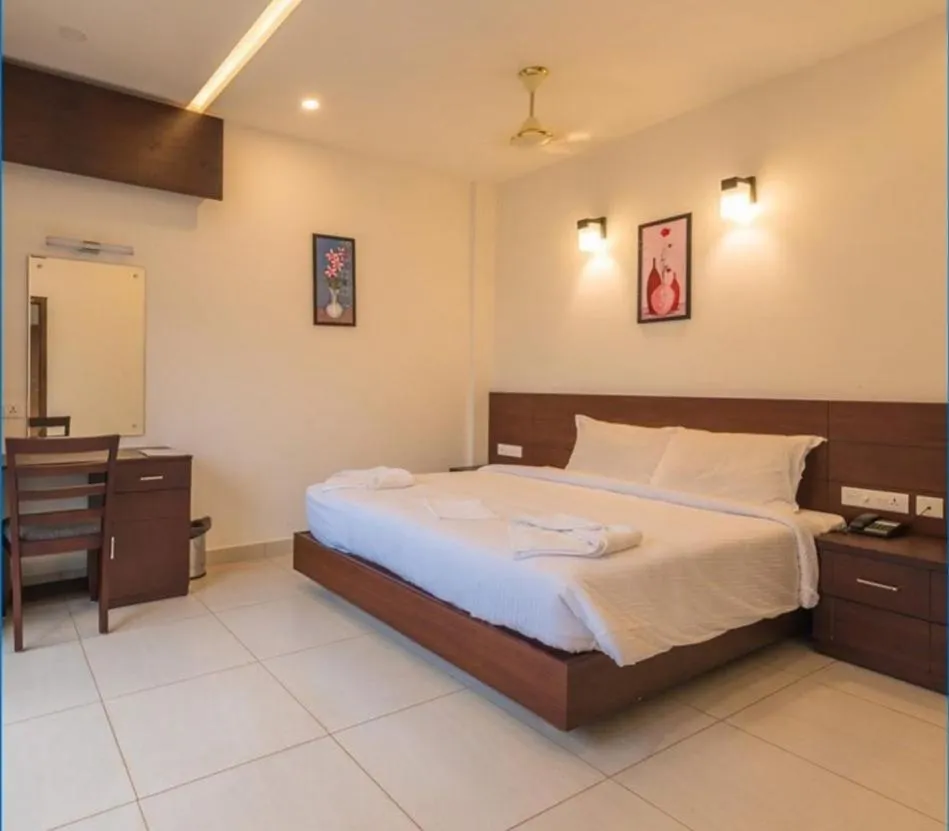 Palmtree Leaf, Munnar