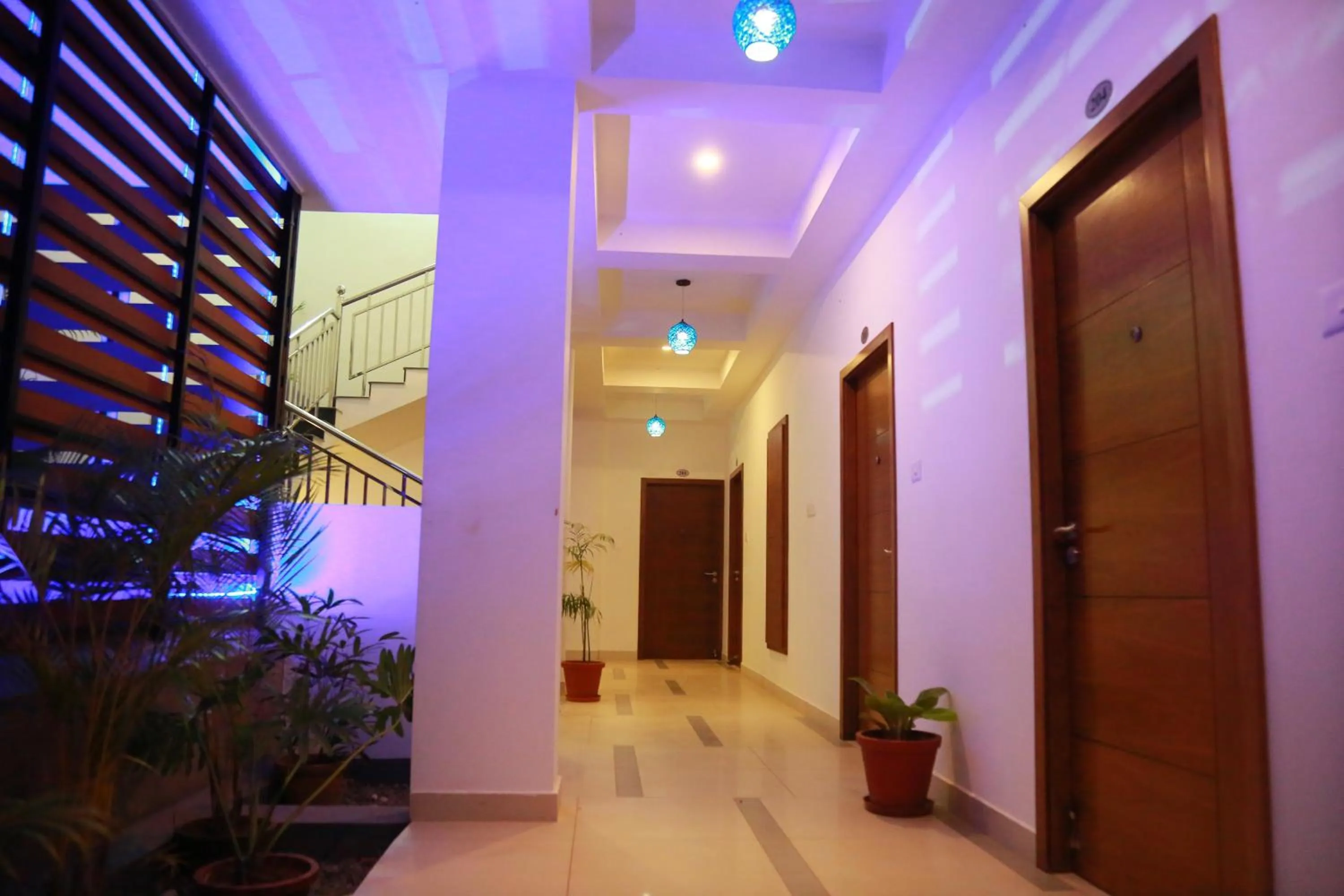 Palmtree Leaf, Munnar