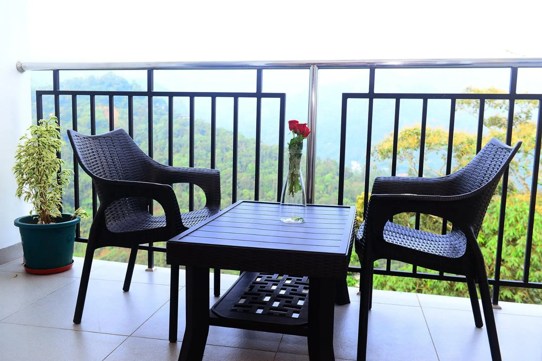 Balcony/Terrace in Palmtree Leaf, Munnar