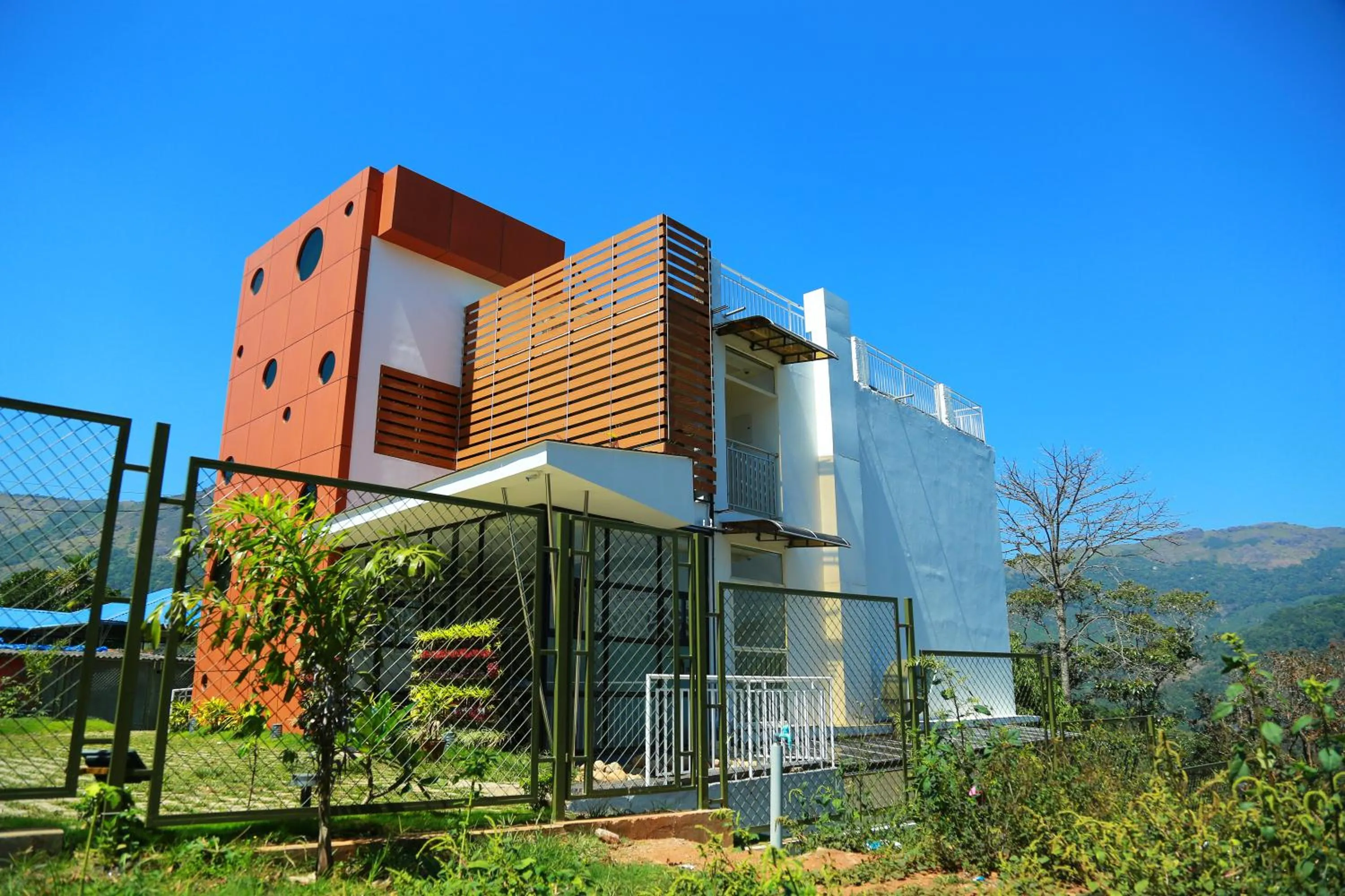 Palmtree Leaf, Munnar