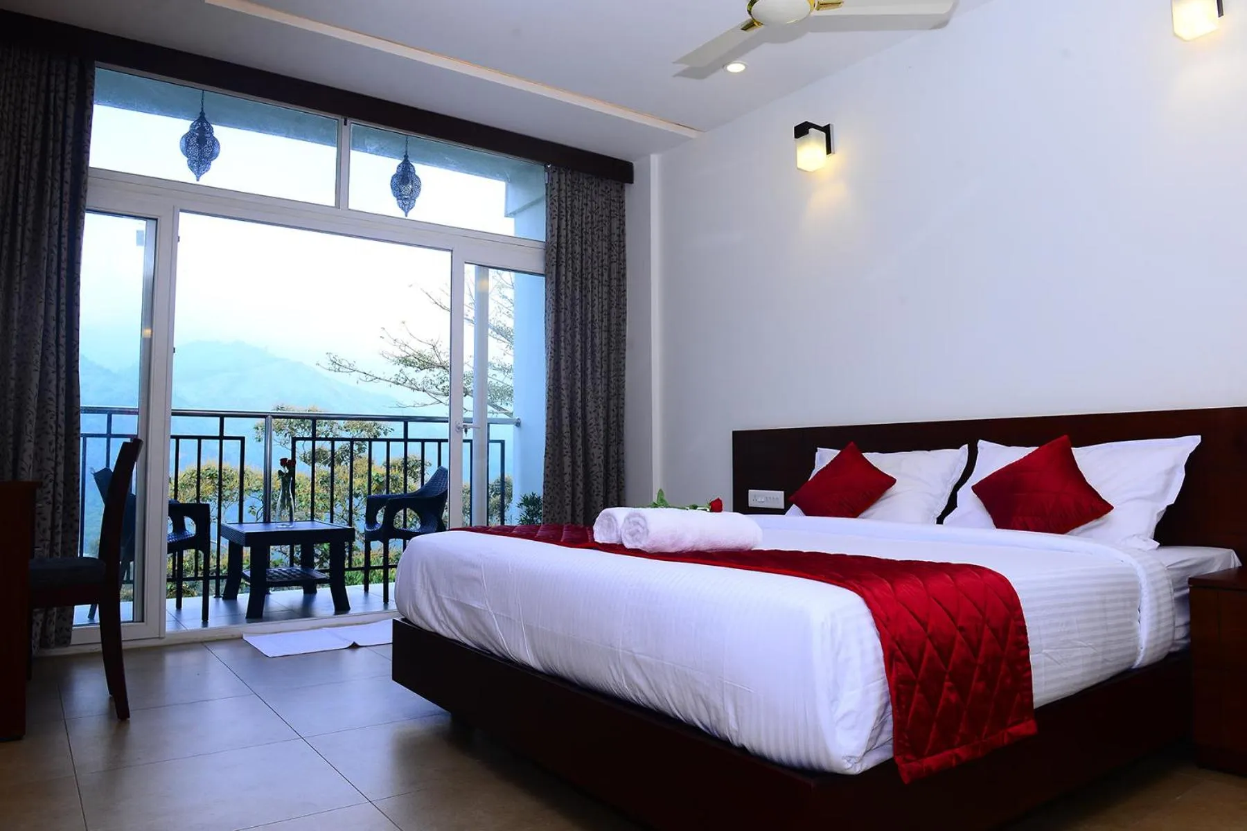 Palmtree Leaf, Munnar