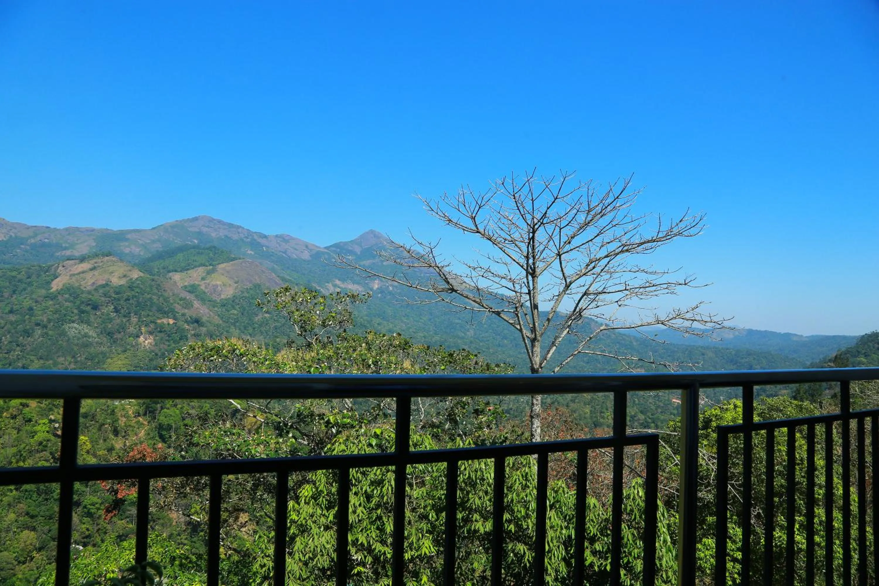 Balcony/Terrace in Palmtree Leaf, Munnar
