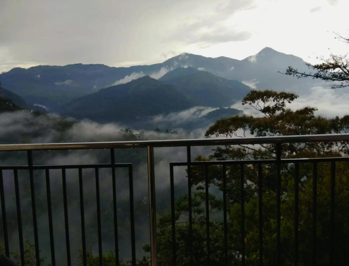 View (from property/room) in Palmtree Leaf, Munnar