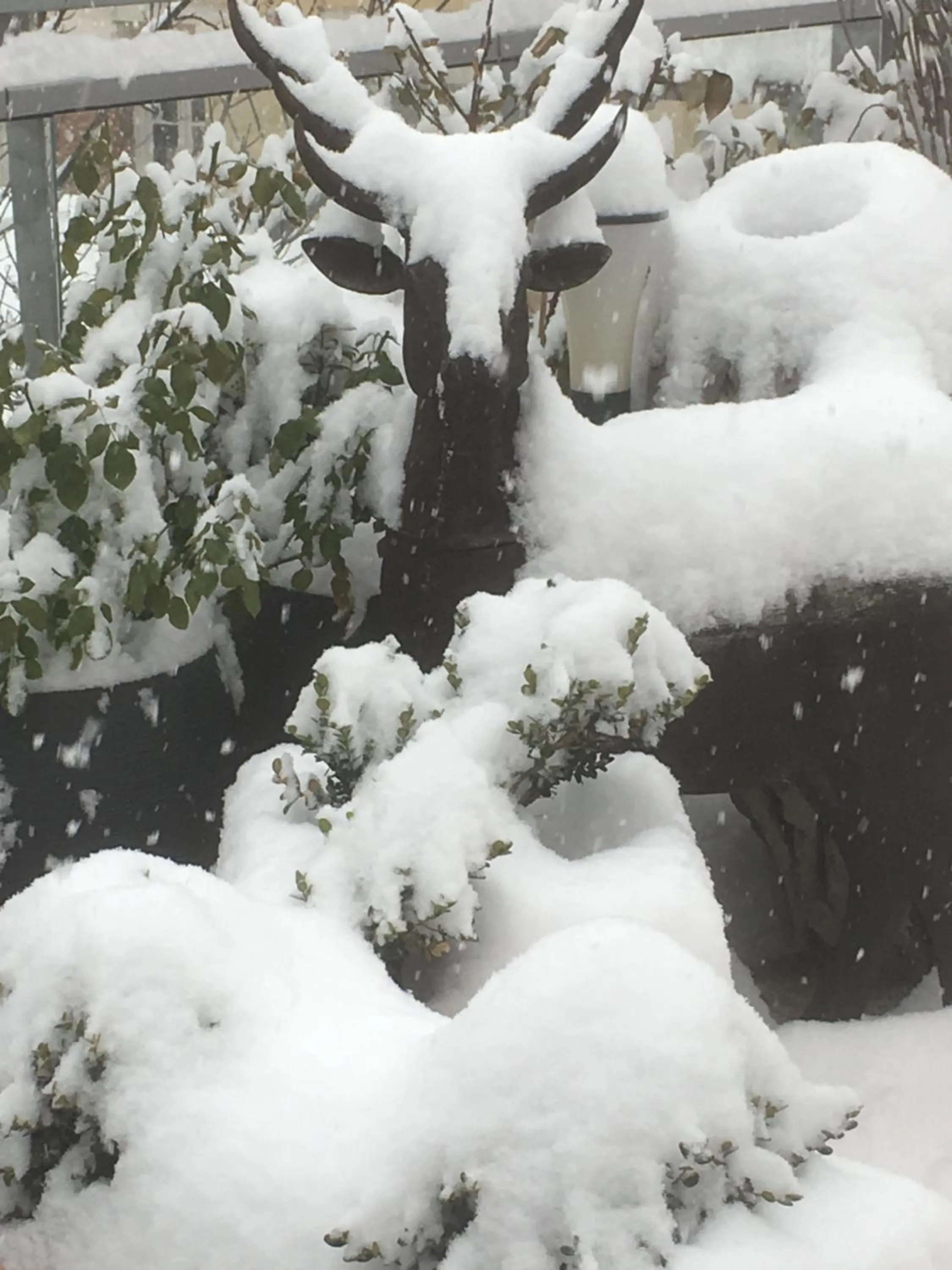 Hôtel Restaurant de la Chaussée