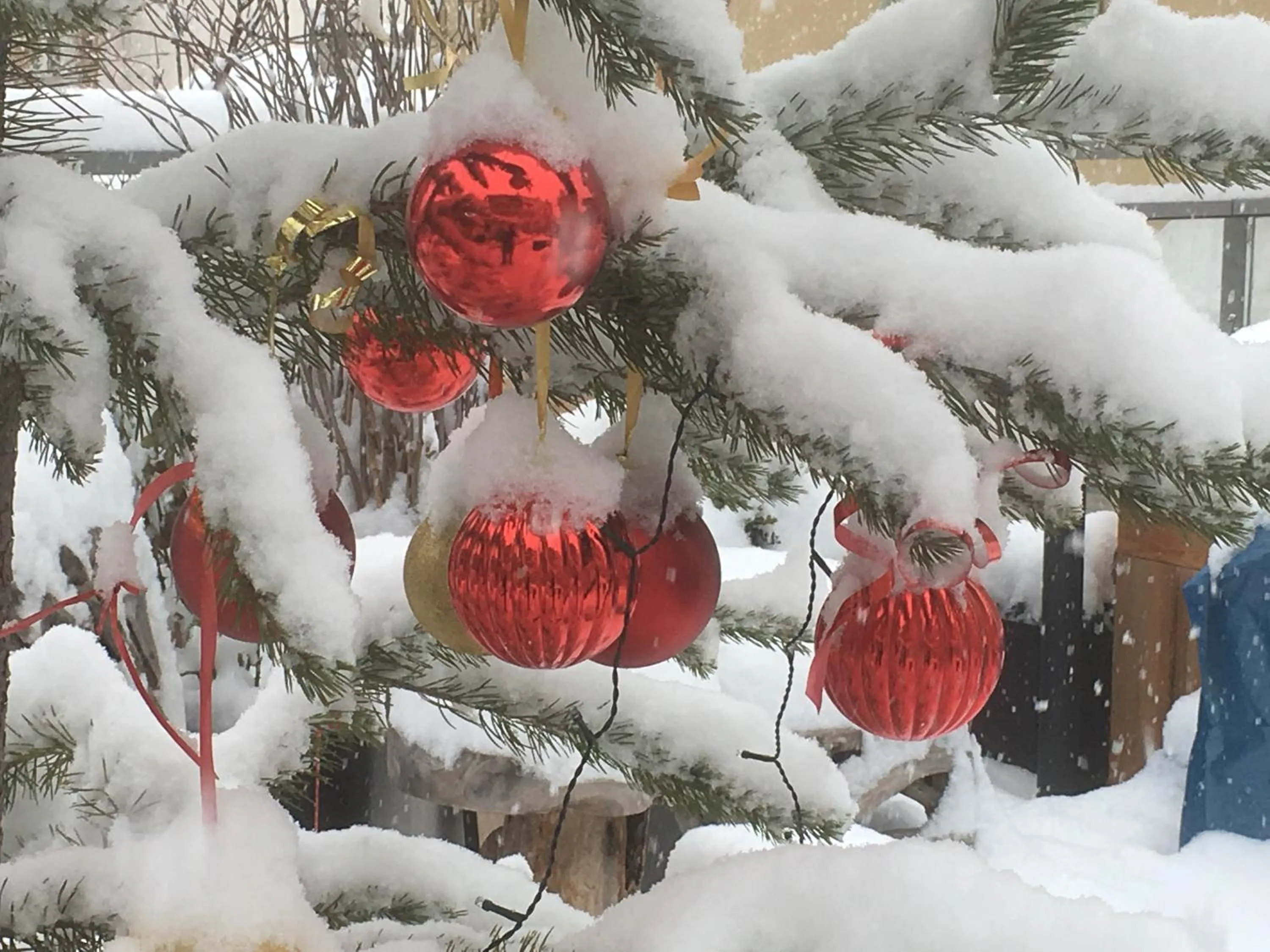 Hôtel Restaurant de la Chaussée