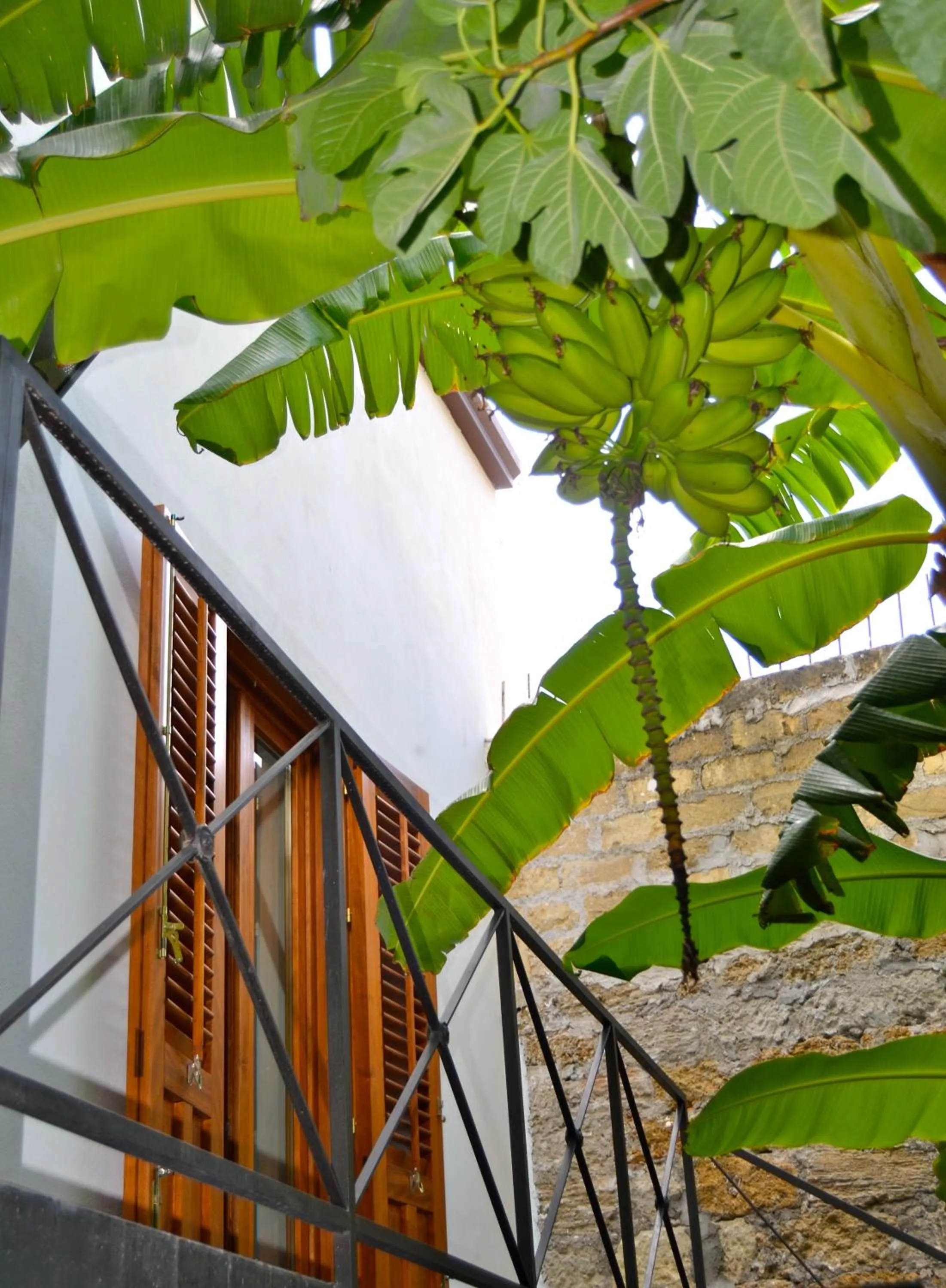 Garden in Il Giardino di Ballarò Boutique B&B