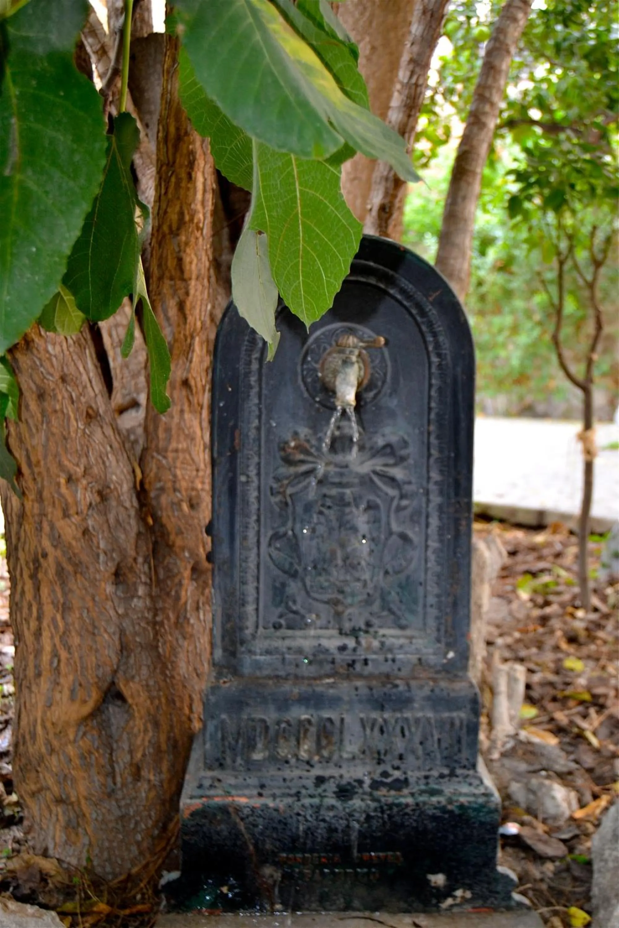 Garden in Il Giardino di Ballarò Boutique B&B