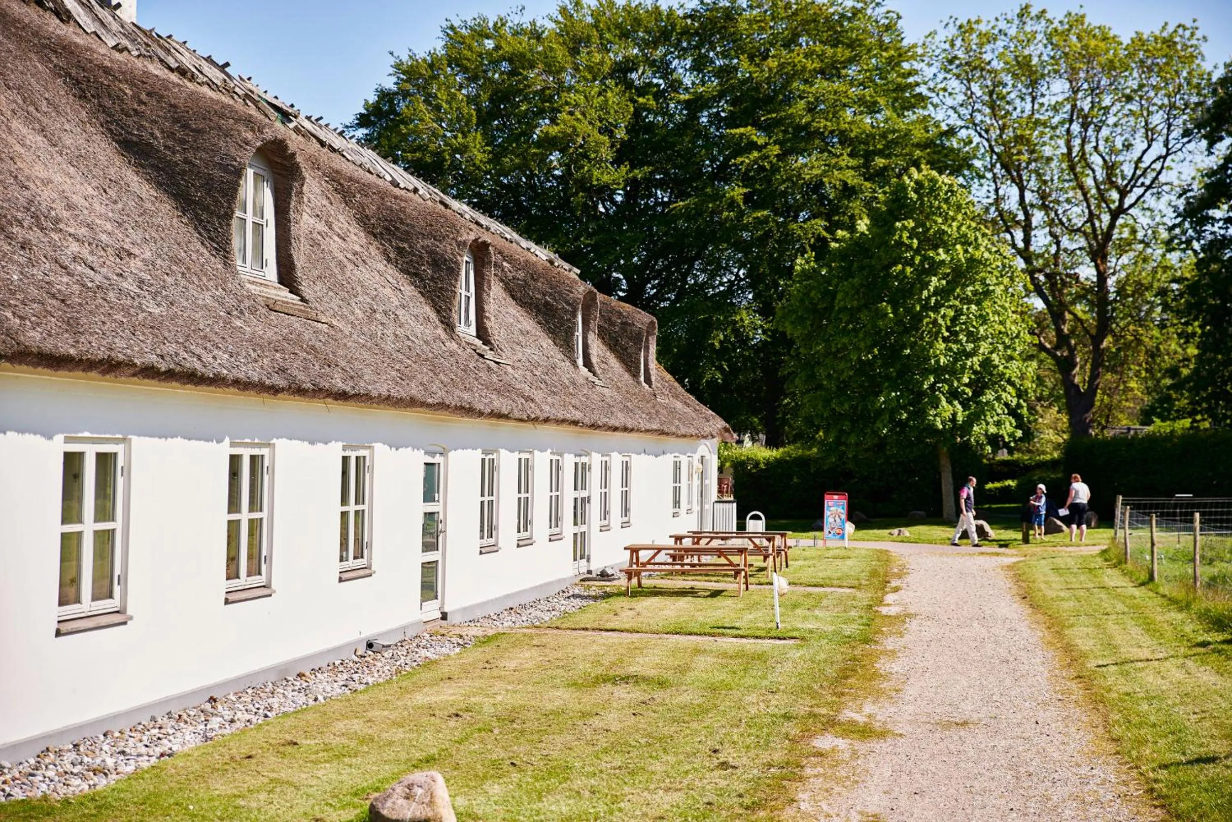 Economy Family Room - single occupancy in Sankt Helene Tisvildeleje