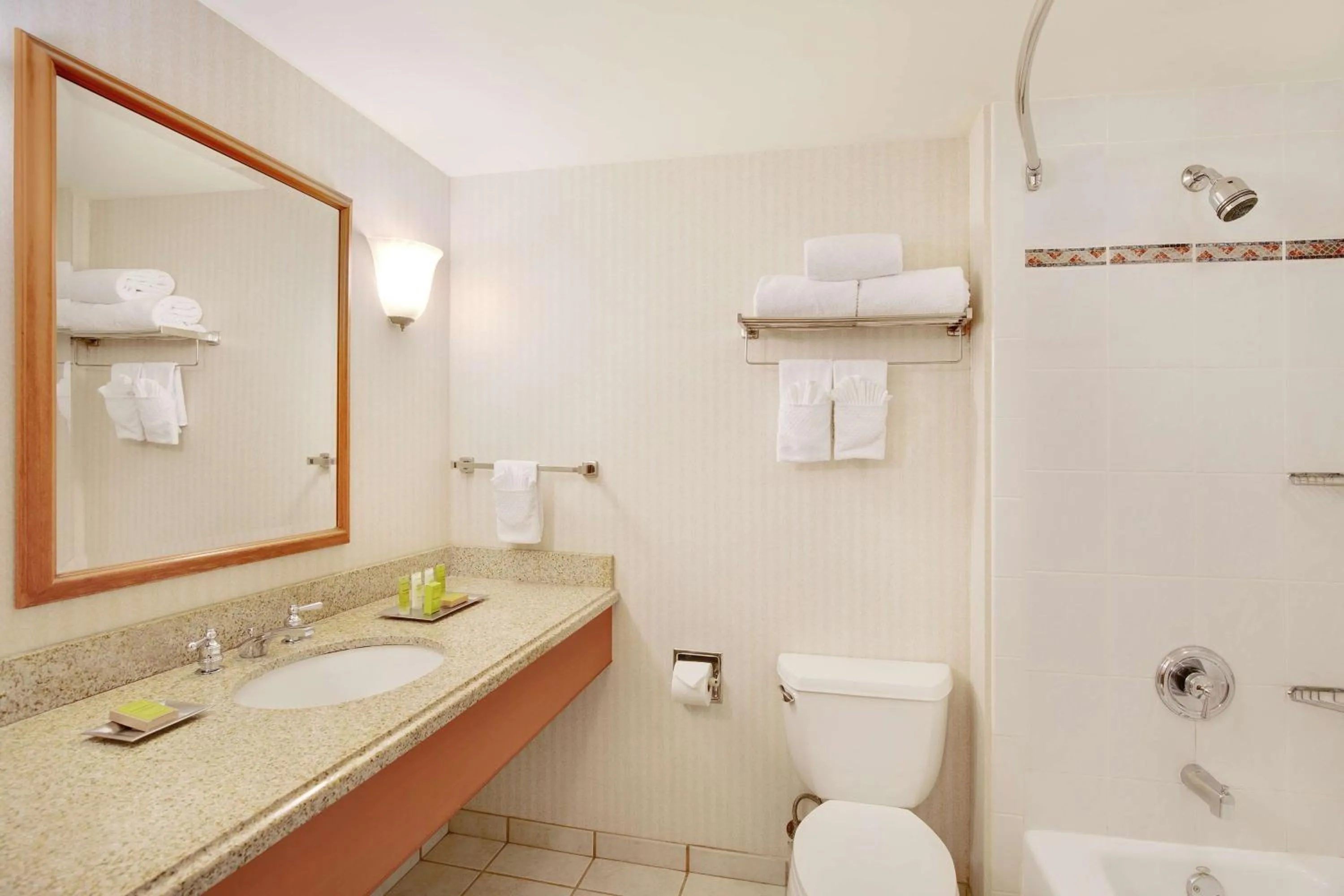 Bathroom in Hilton Seattle Airport & Conference Center