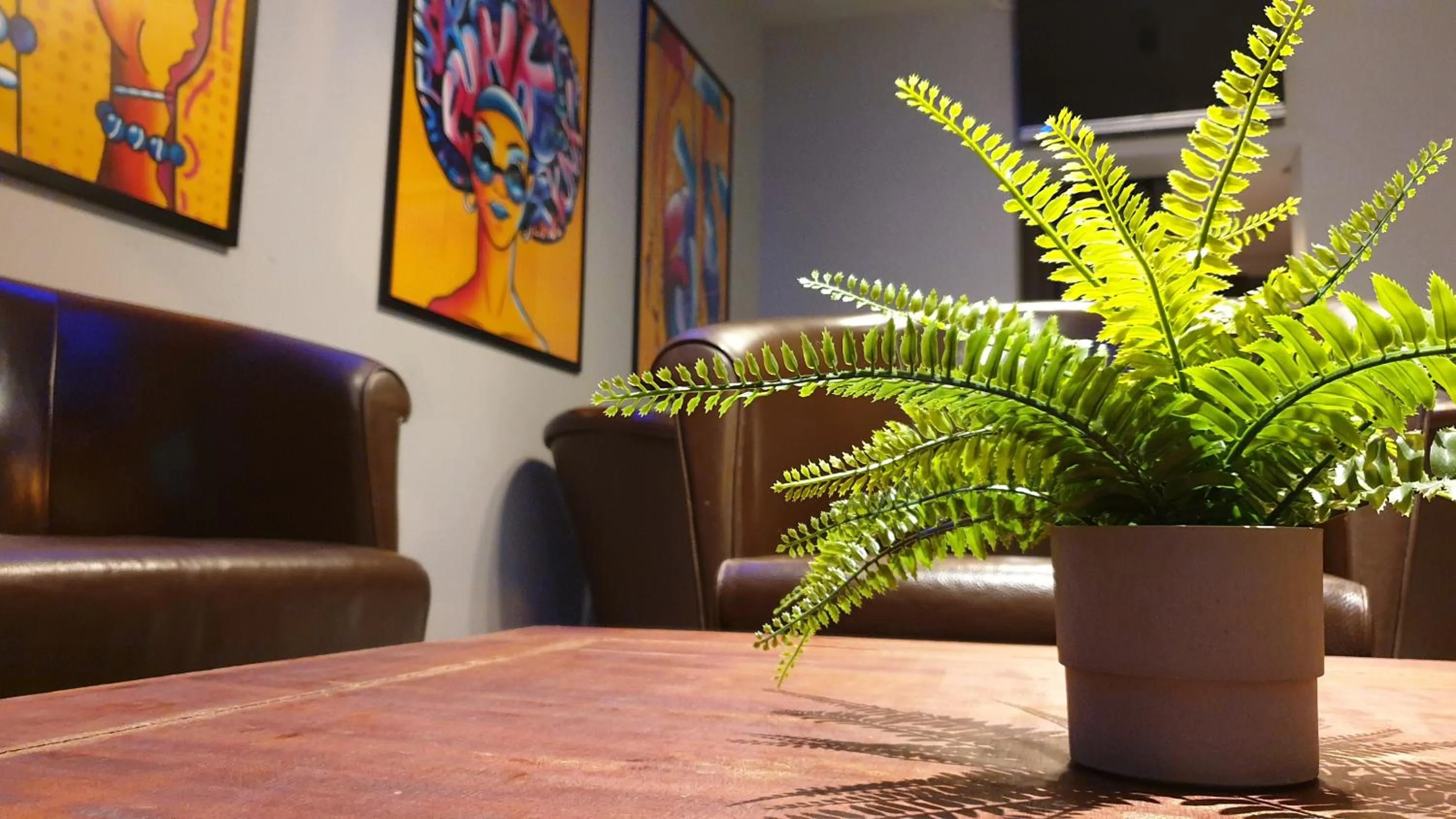 Lounge or bar in Funk Lounge Hostel