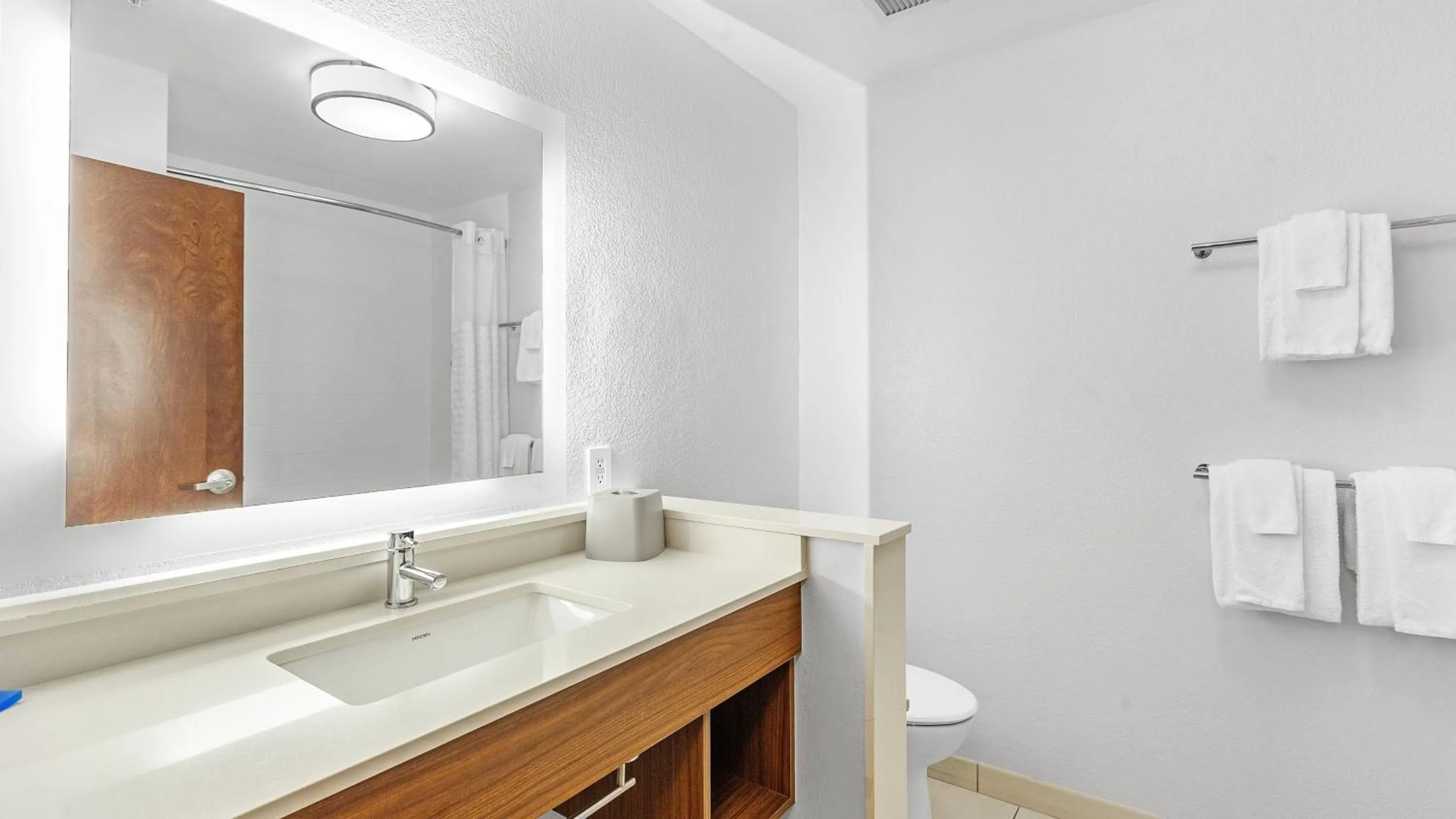 Bathroom in Holiday Inn Express & Suites Mobile - University Area by IHG