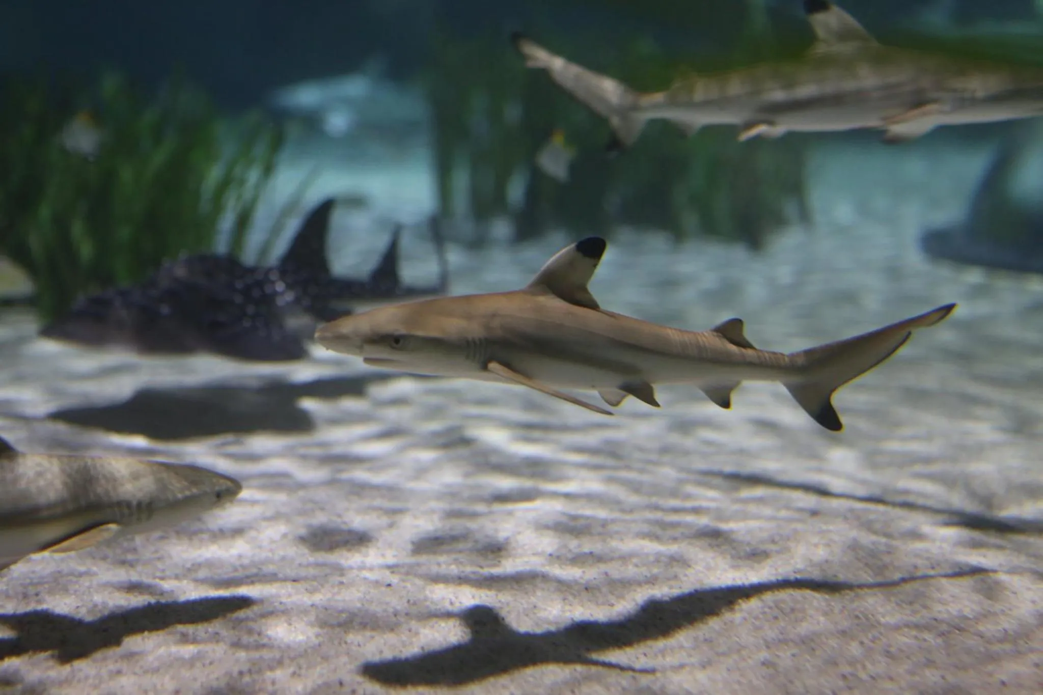 Nearby landmark in Holiday Inn Express Oberhausen by IHG