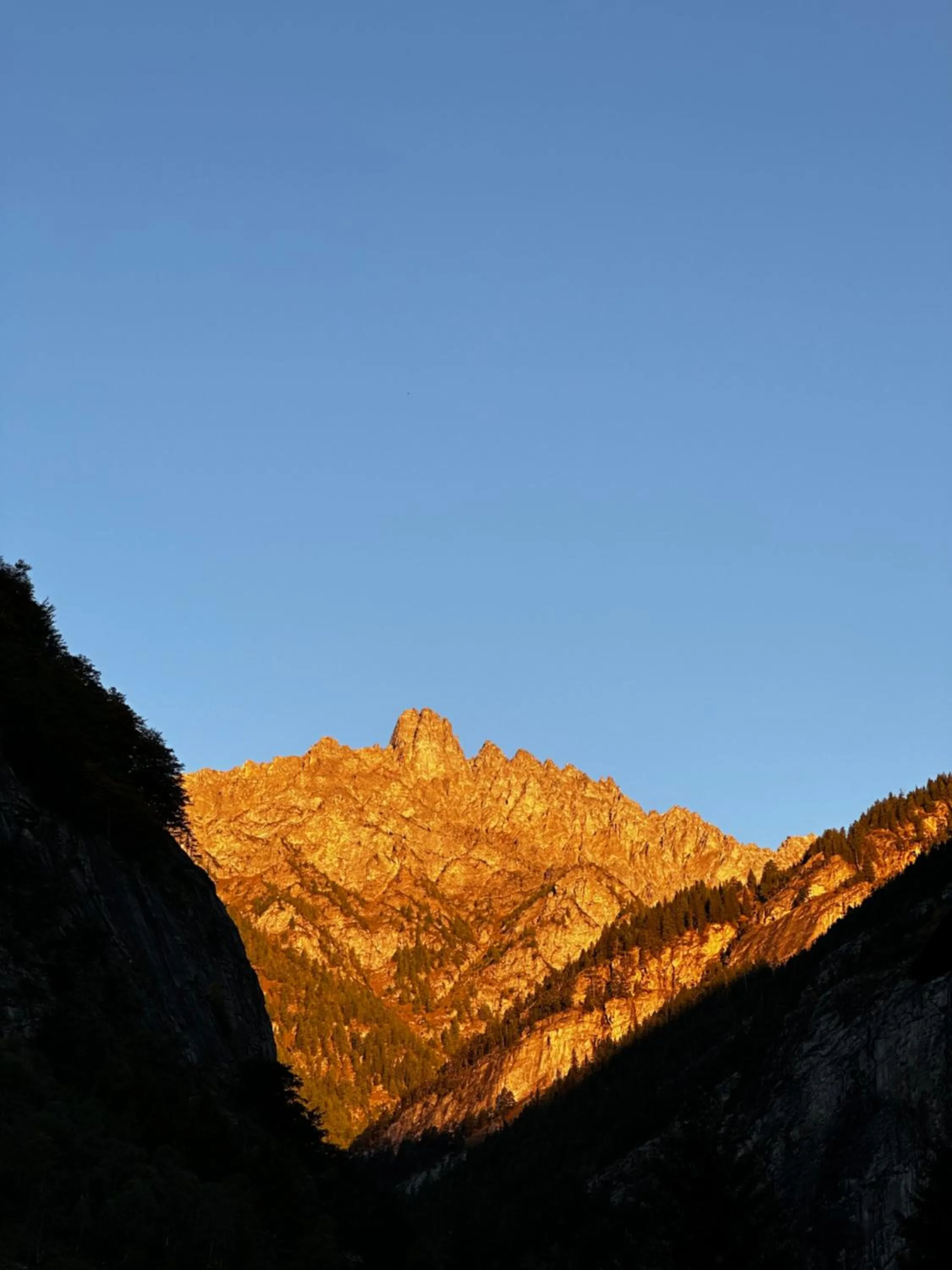 View (from property/room) in Pension Bellevue Gondo