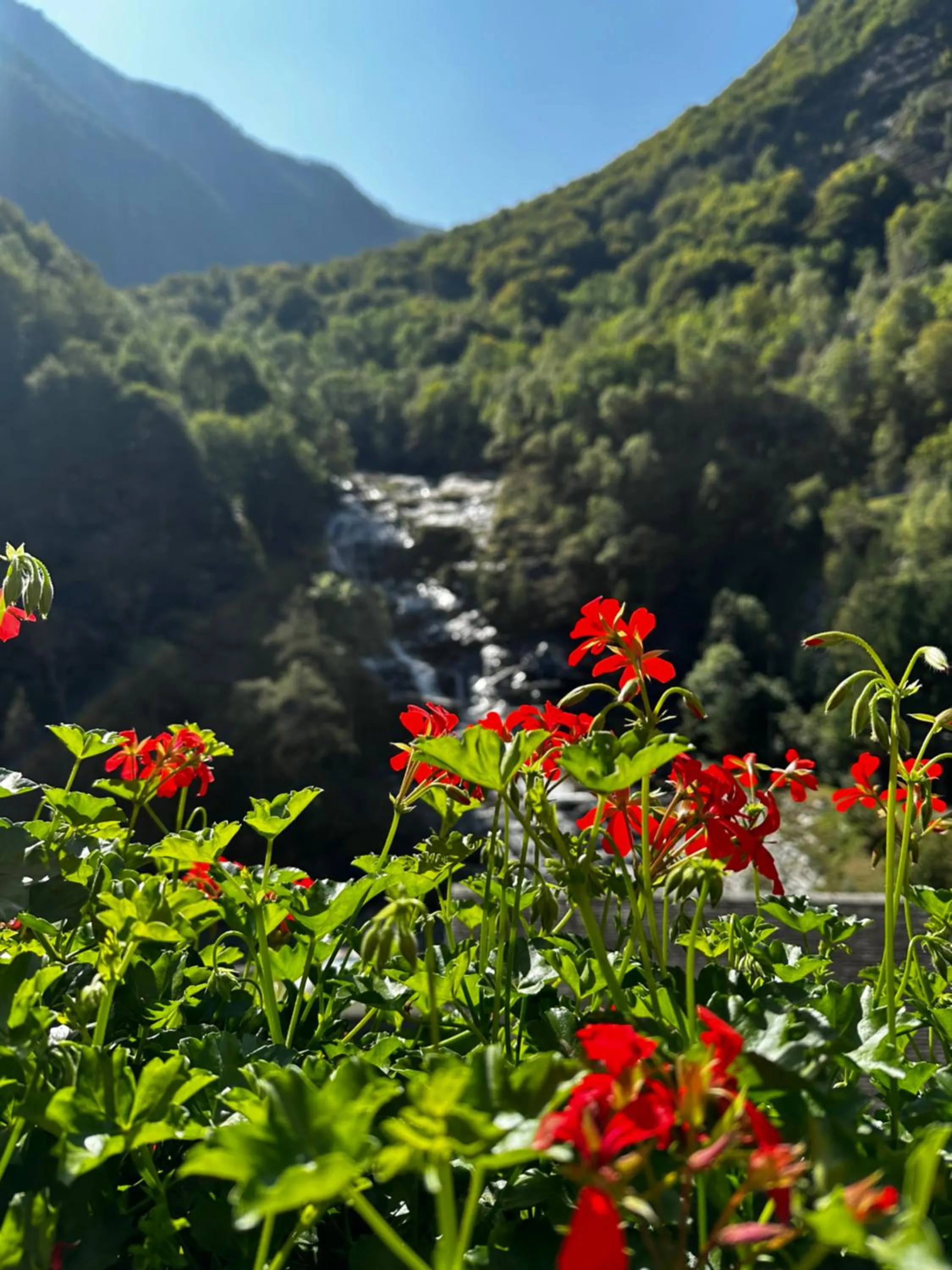 View (from property/room) in Pension Bellevue Gondo