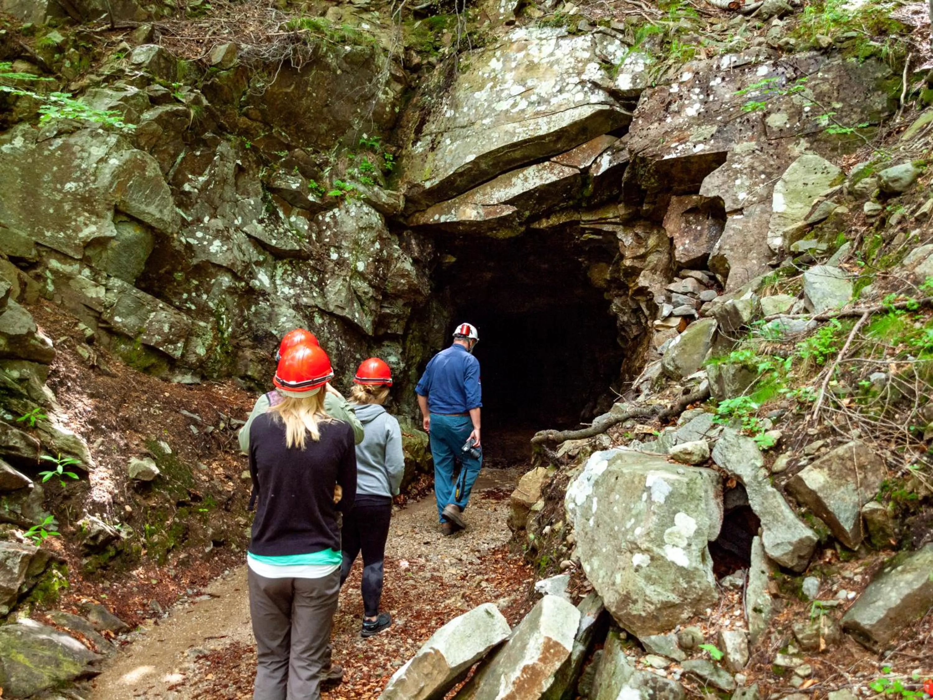 Other in Pension Bellevue Gondo