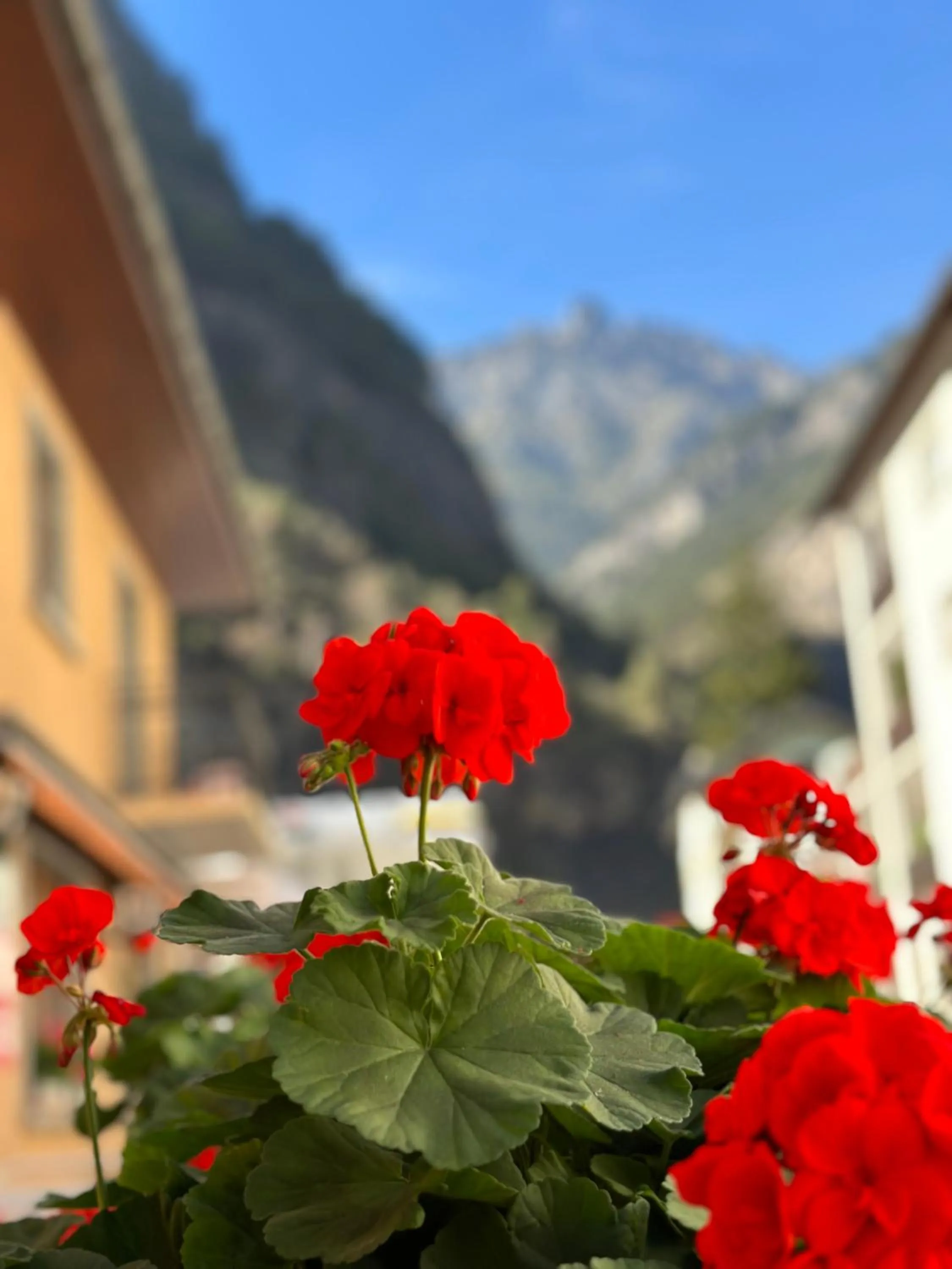 Balcony/Terrace in Pension Bellevue Gondo