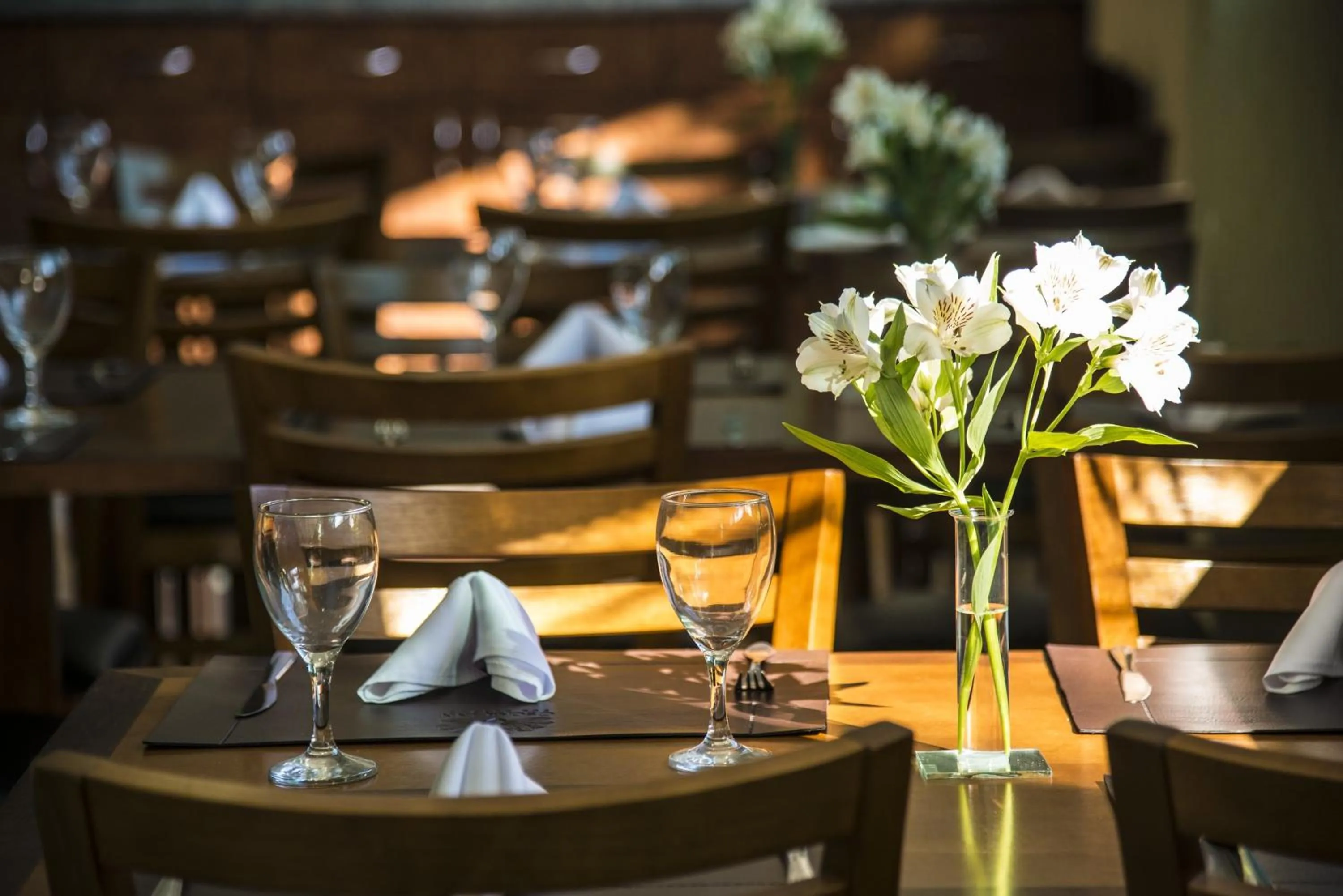 Restaurant/places to eat in Oscar Inn Eco Resort