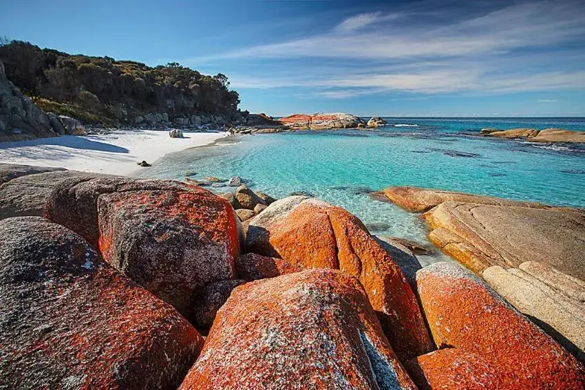 Studio Motel Room in Georges Bay Apartments Studio Motel Room in Georges Bay Apartments