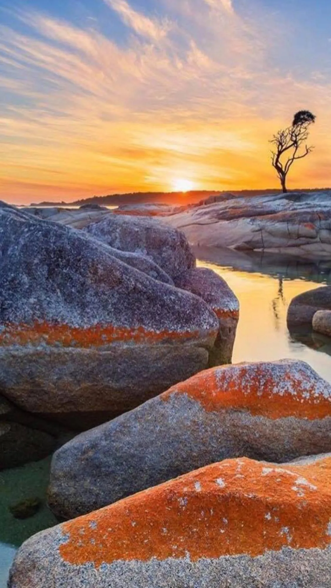 Sunrise in Georges Bay Apartments