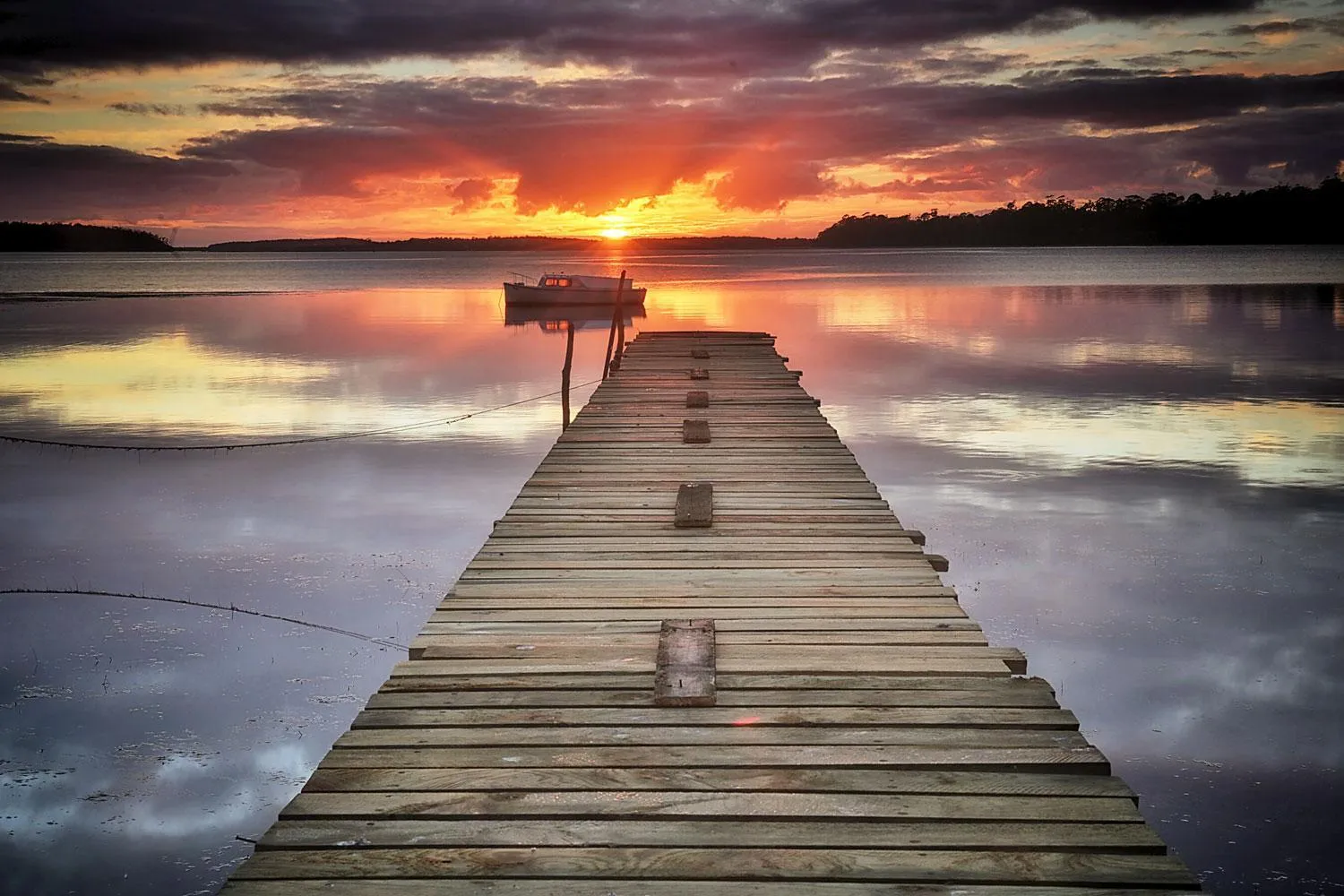 Natural landscape in Georges Bay Apartments