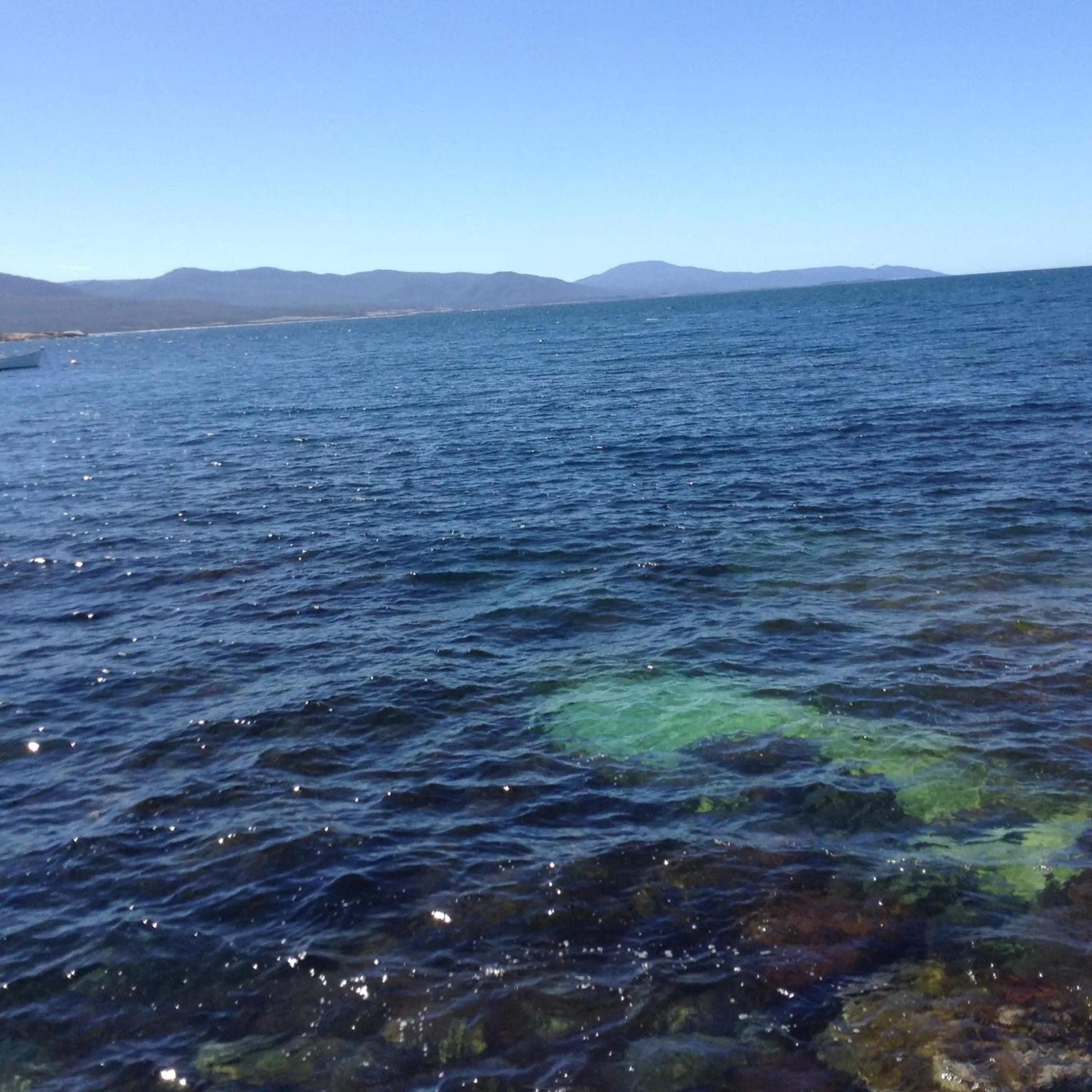 Natural landscape in Georges Bay Apartments