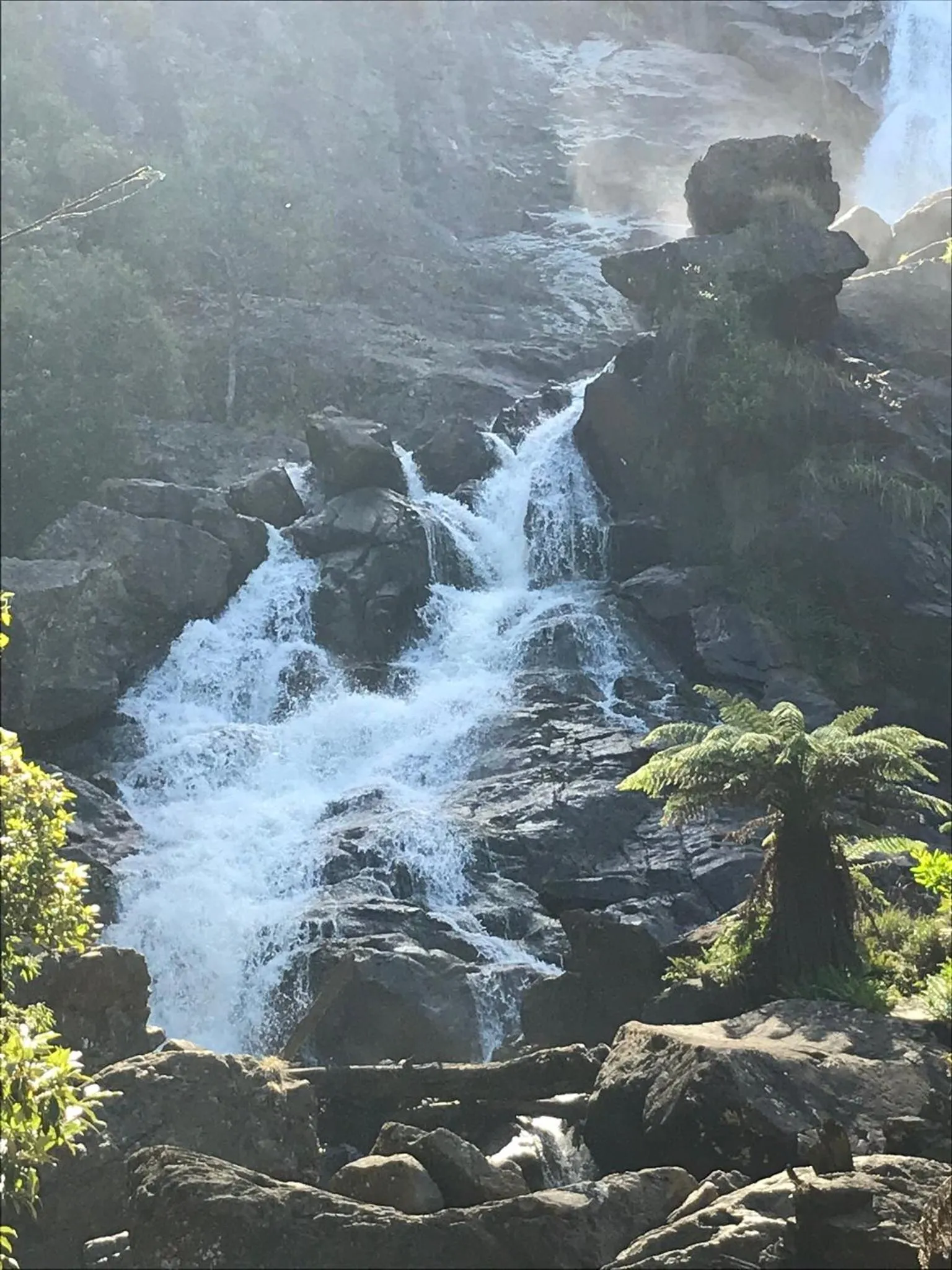 Natural landscape in Georges Bay Apartments