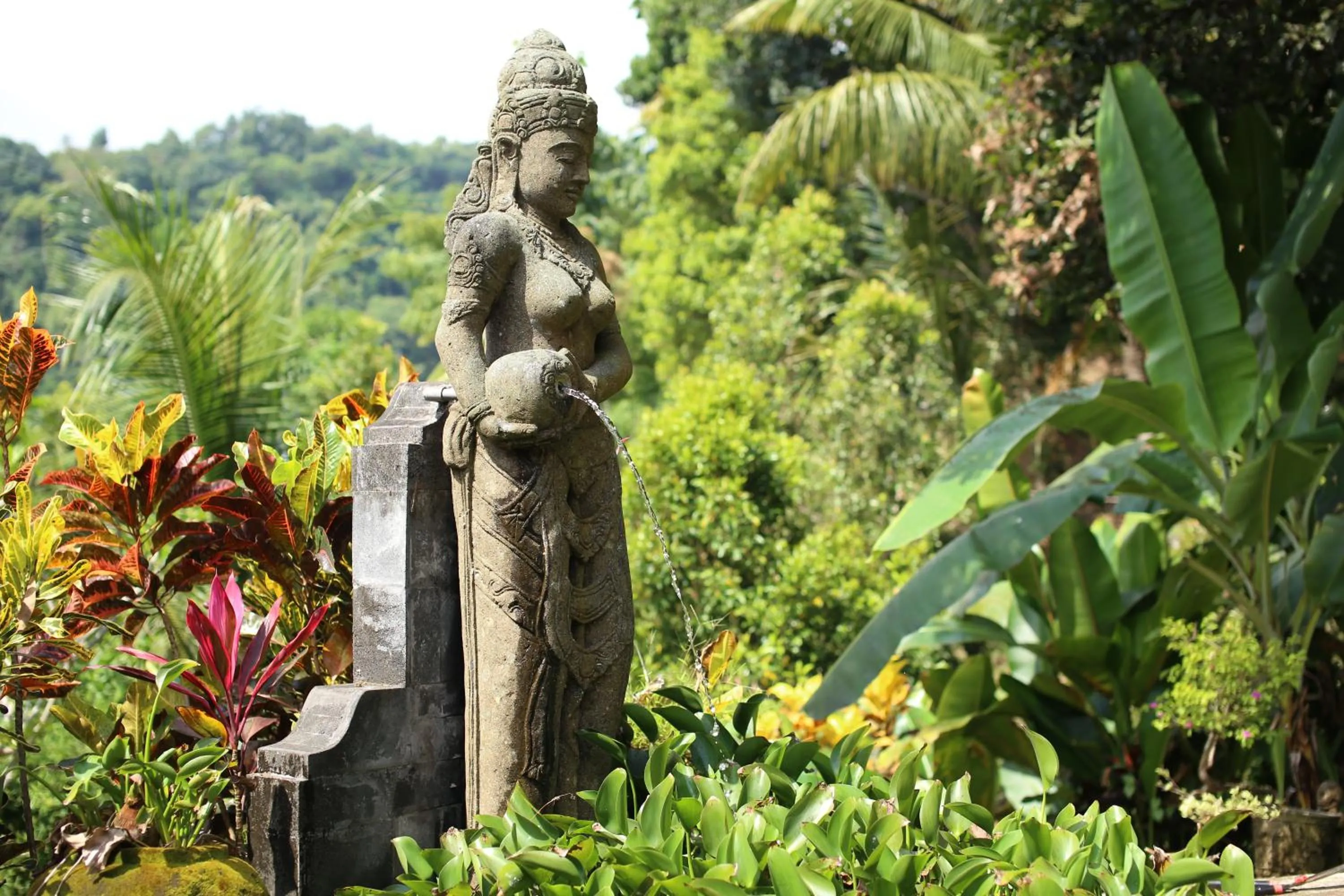 Area and facilities in Villa Patria