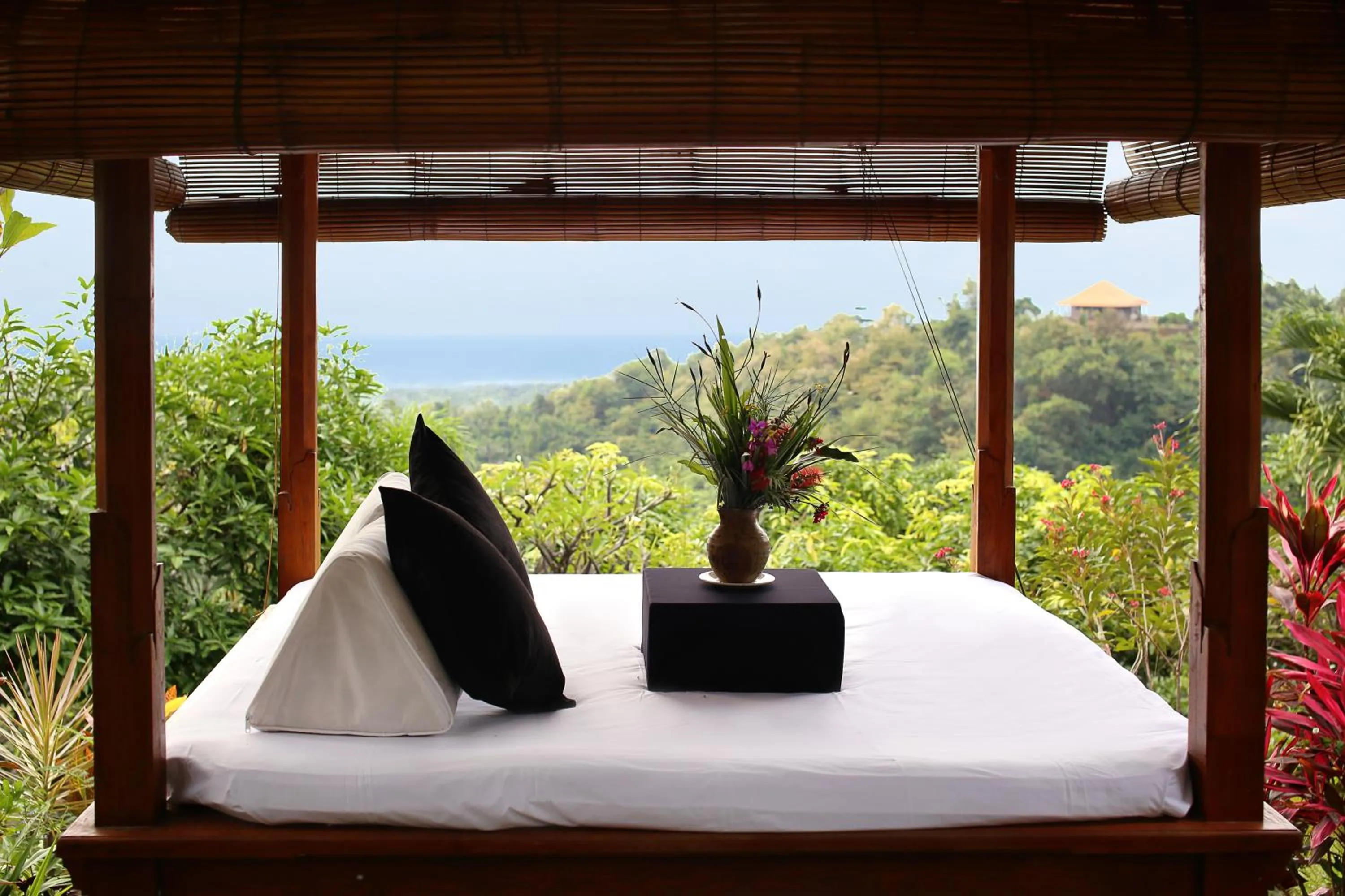 Area and facilities in Villa Patria