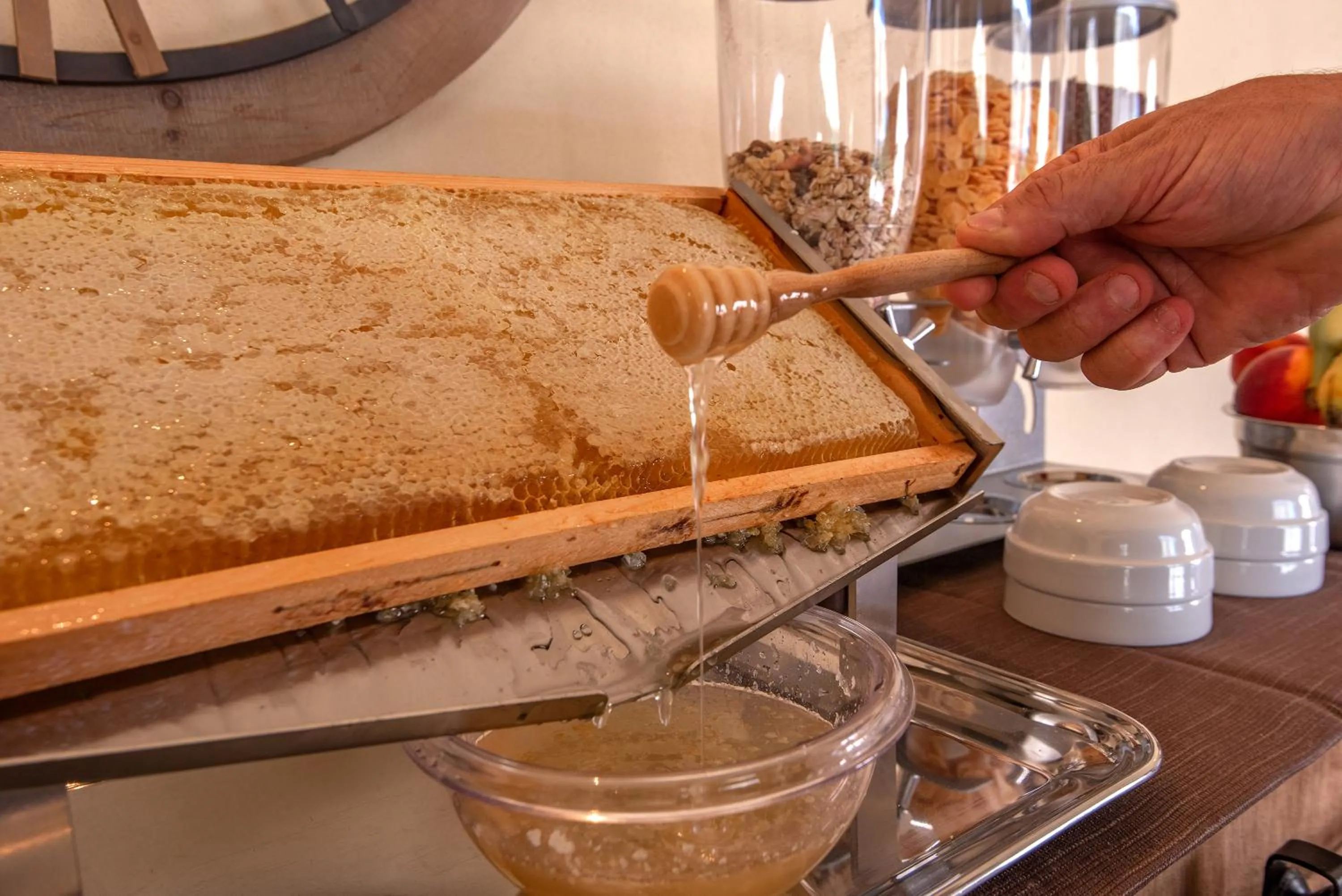 Food and drinks in Borgo di Villa Cellaia Resort & SPA