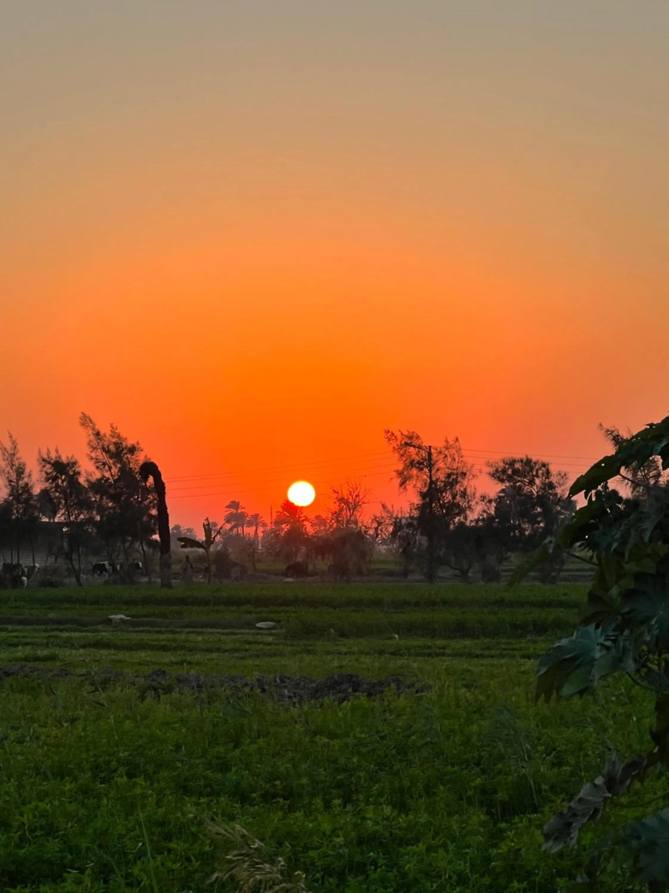 Day in Zad El Mosafer Guest House