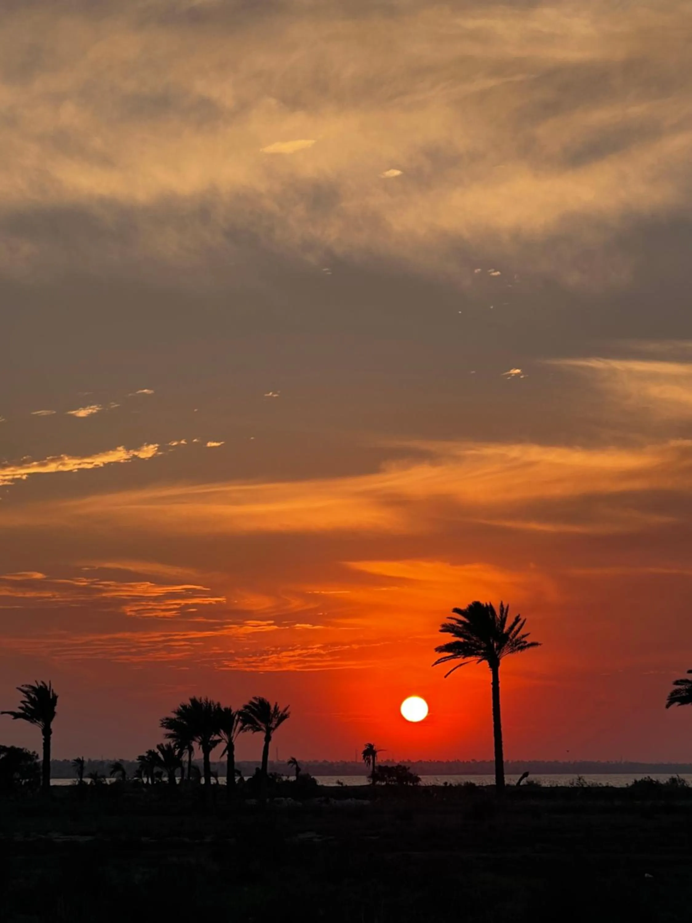 Zad El Mosafer Guest House