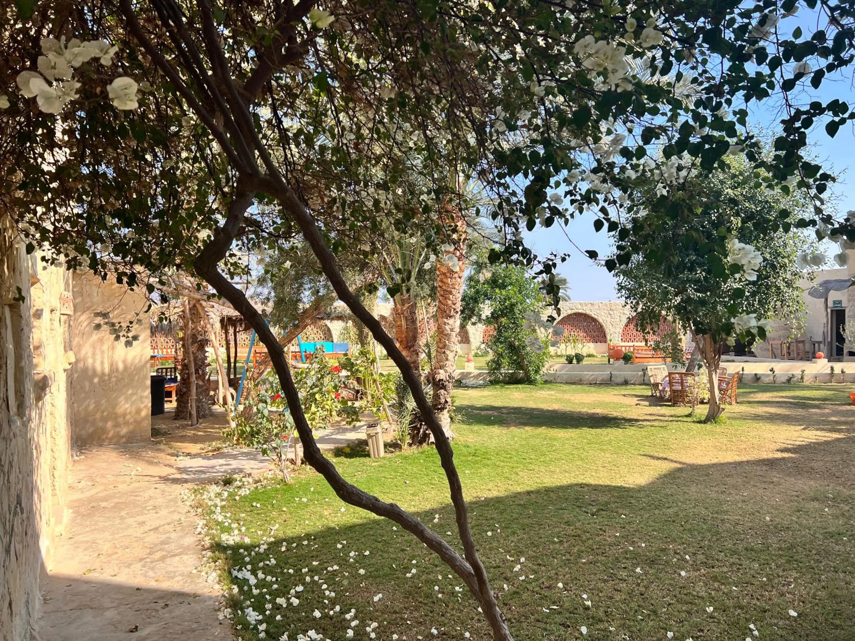 Day in Zad El Mosafer Guest House