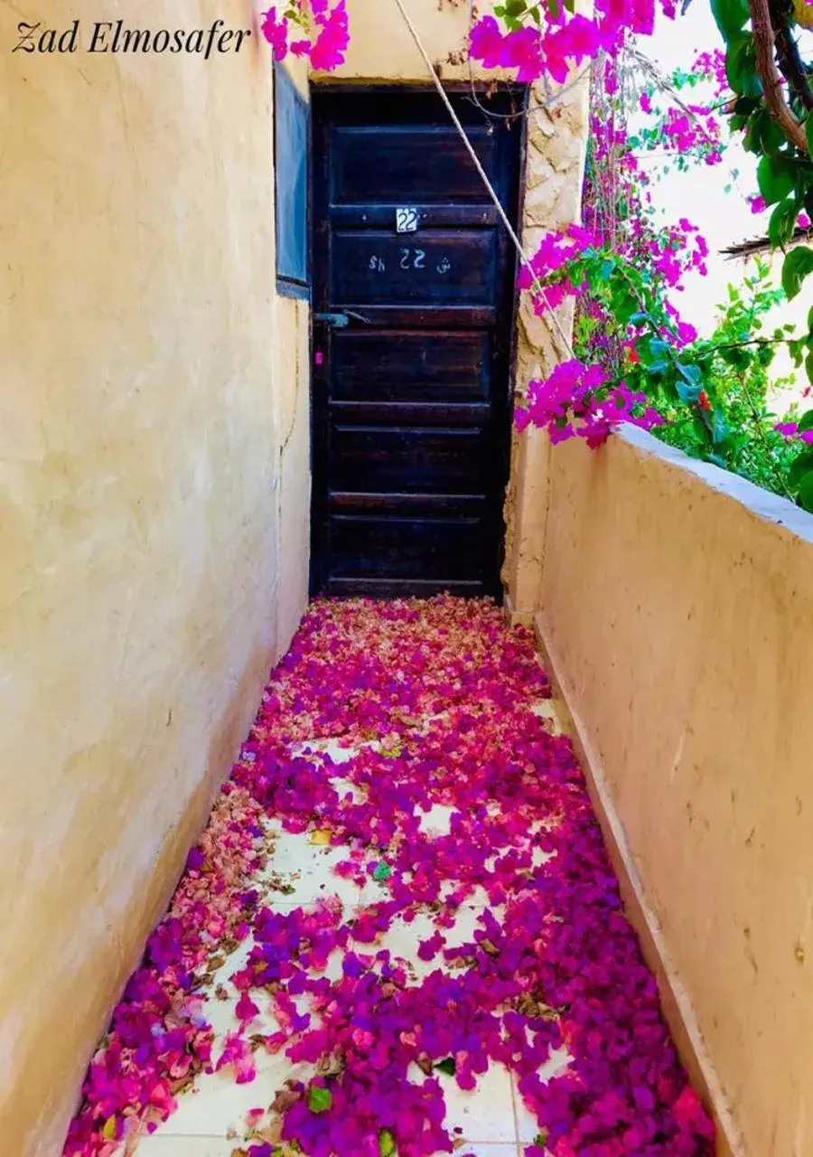 Two-Bedroom Apartment in Zad El Mosafer Guest House Two-Bedroom Apartment in Zad El Mosafer Guest House