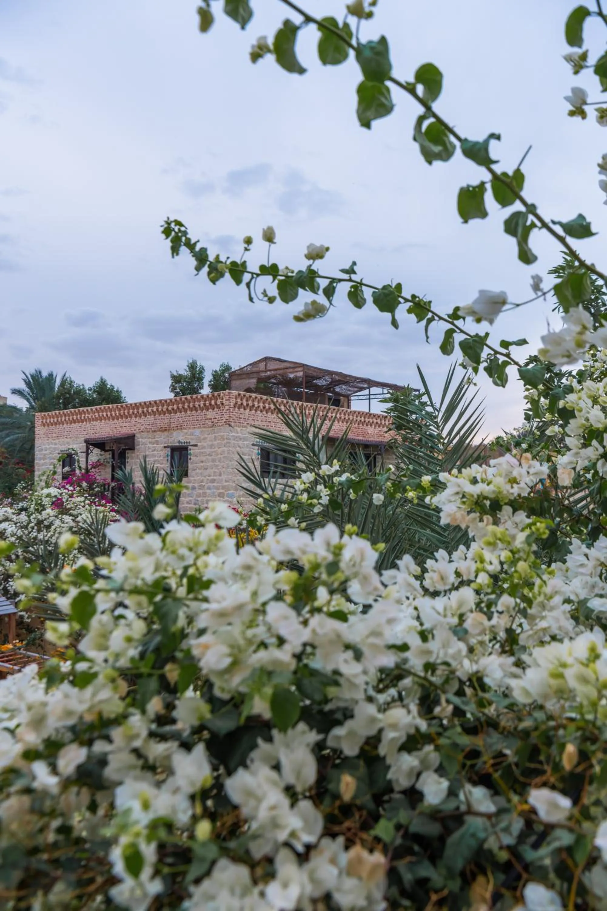 Garden view in Zad El Mosafer Guest House