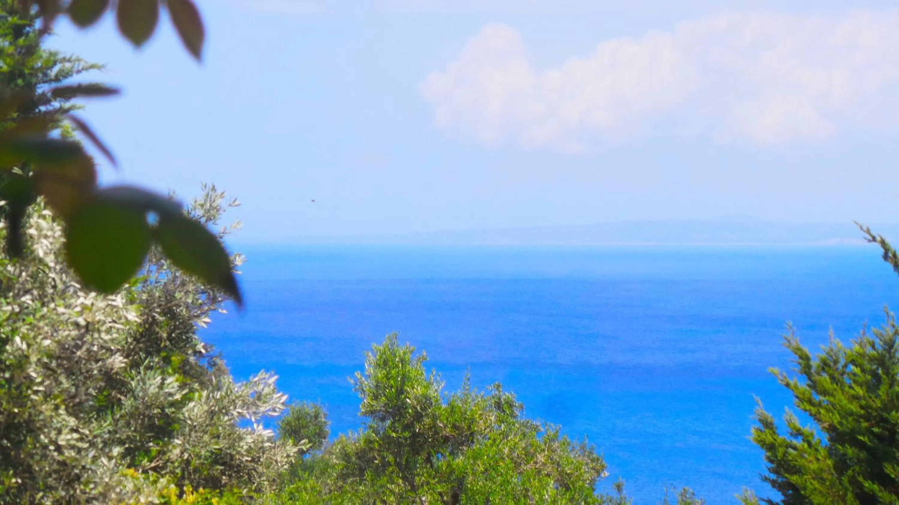 Day in Fiore Hill Sea View Studios