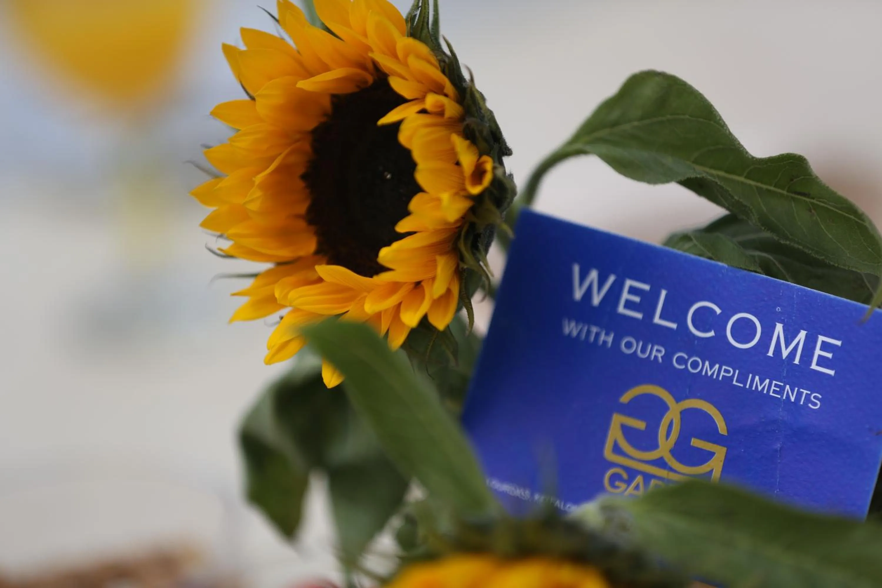 Decorative detail in Garbis Villas & Apartments