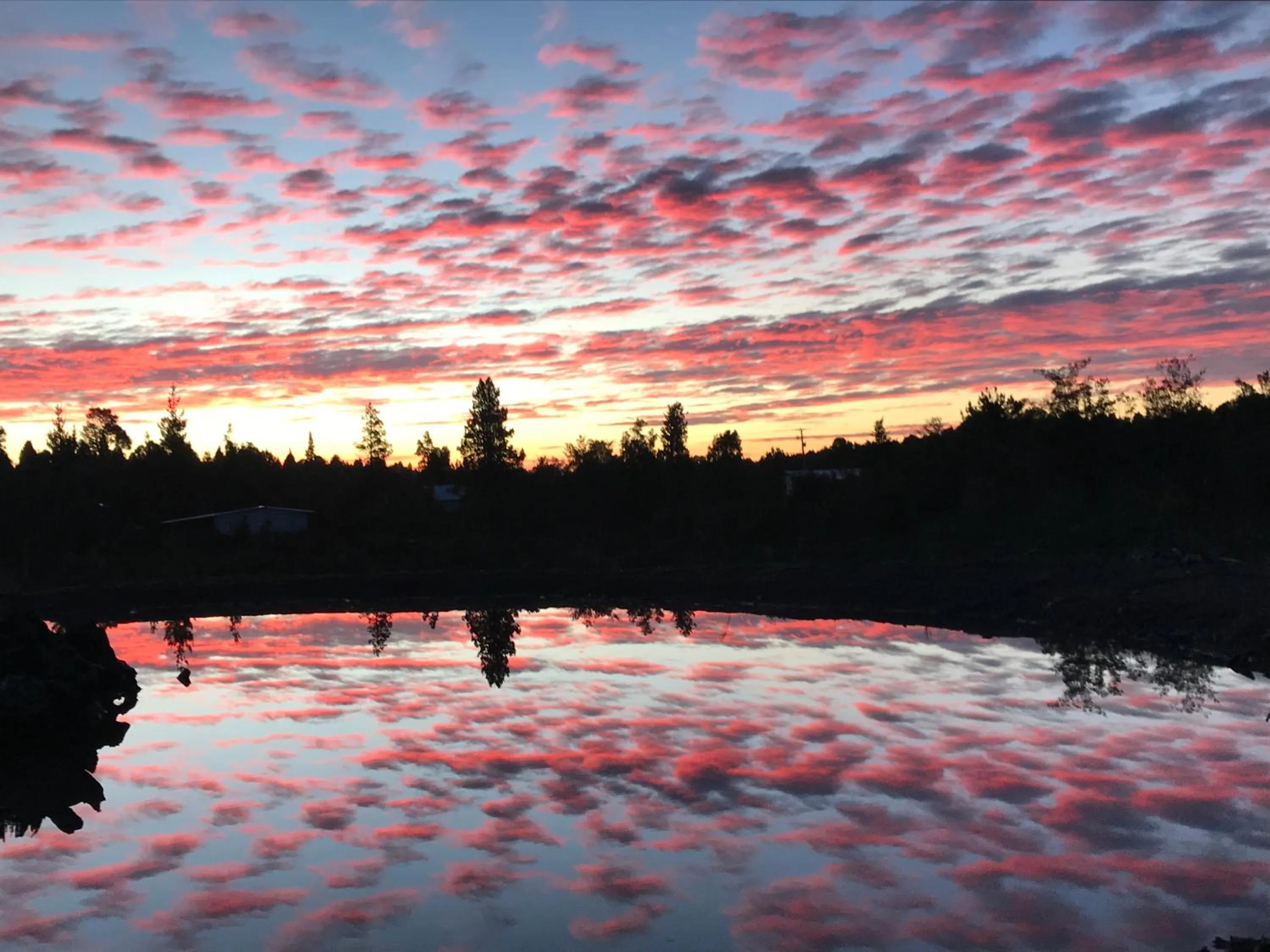 Sunset in Parque la Pajarera