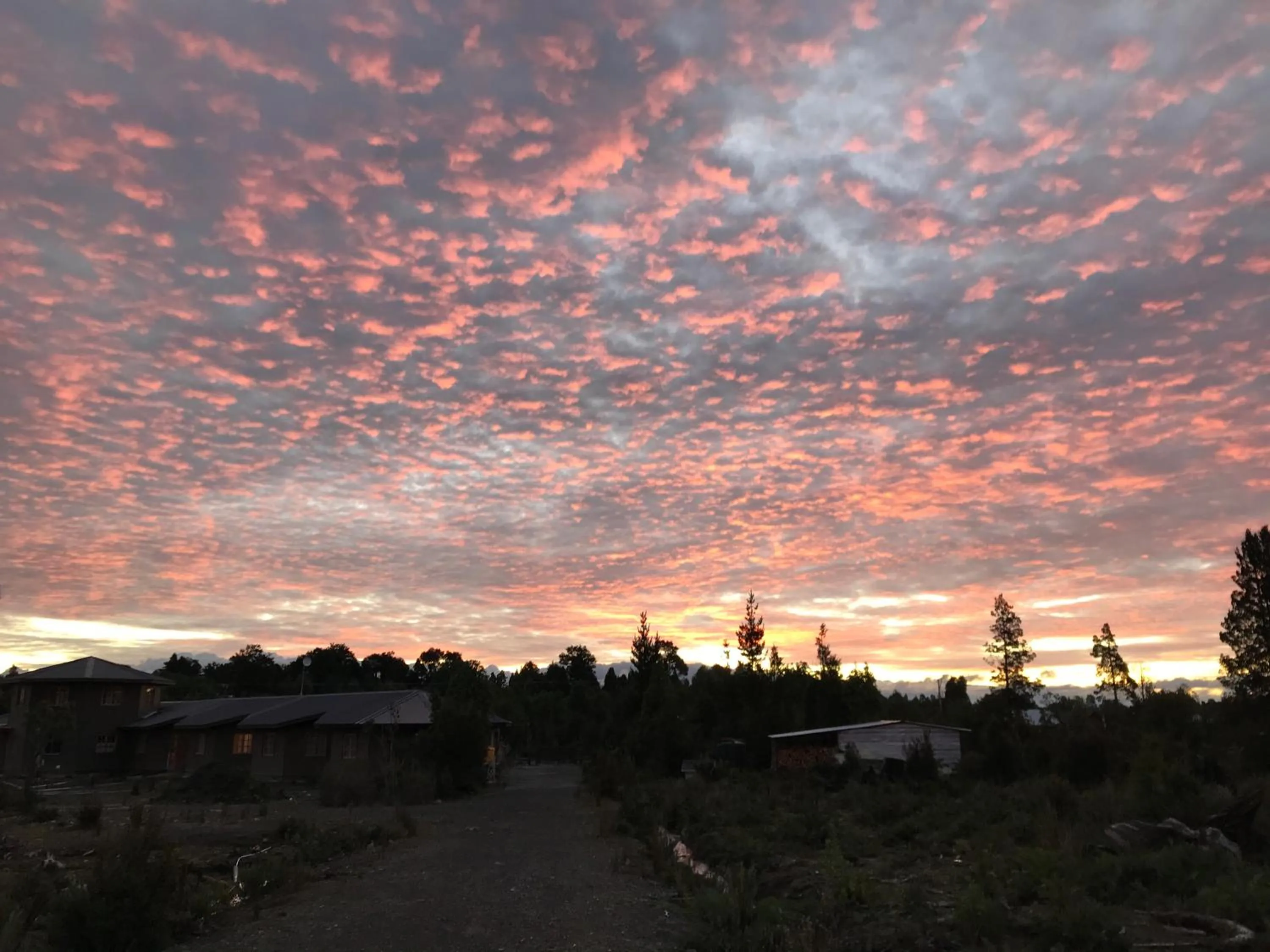 Sunset in Parque la Pajarera