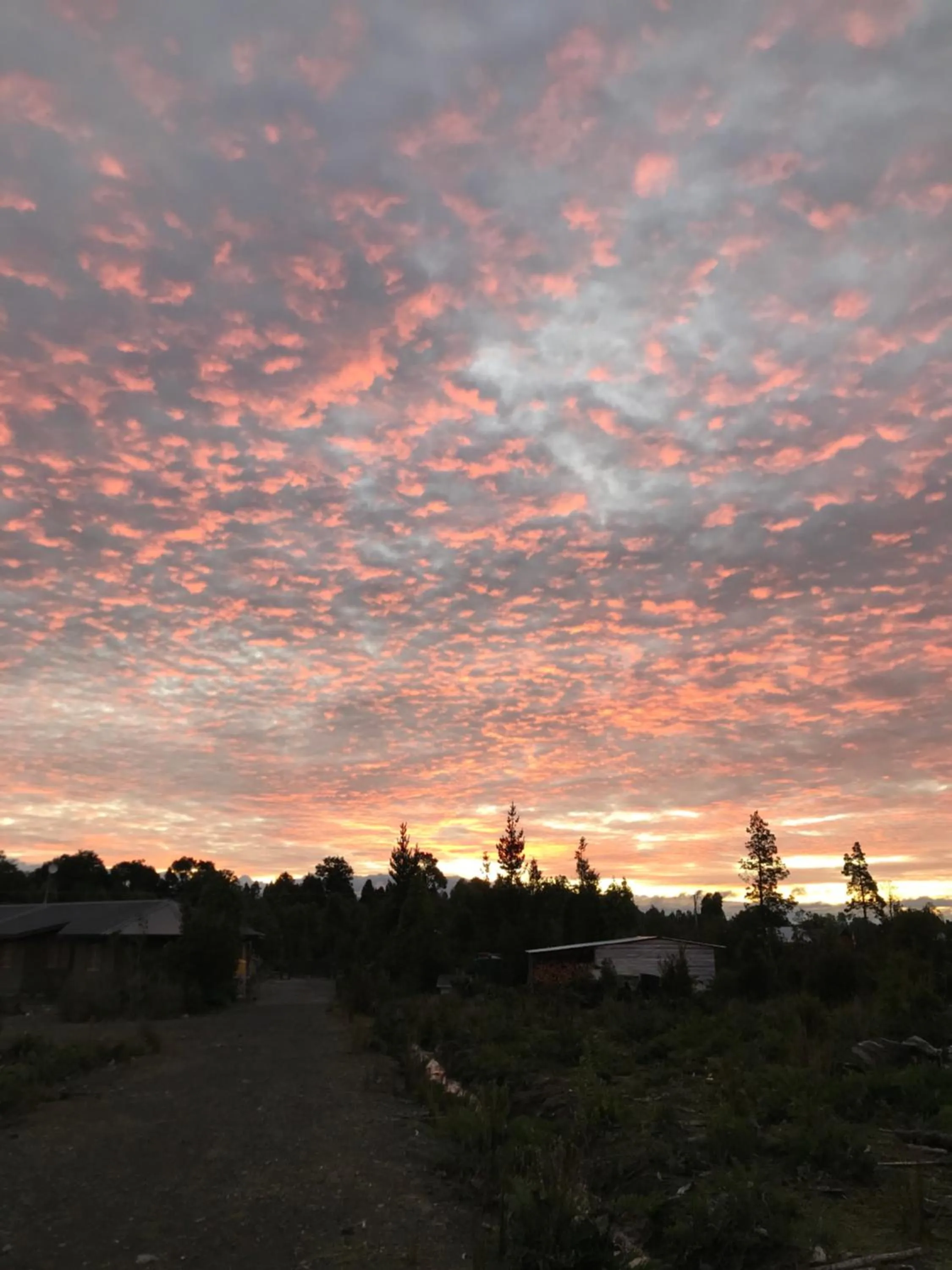 Other in Parque la Pajarera