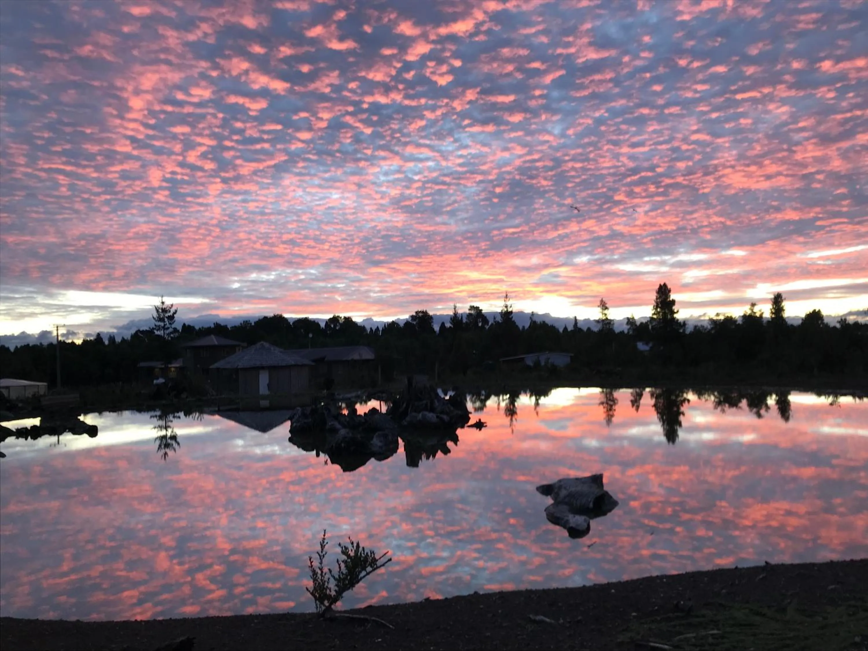 Sunset in Parque la Pajarera