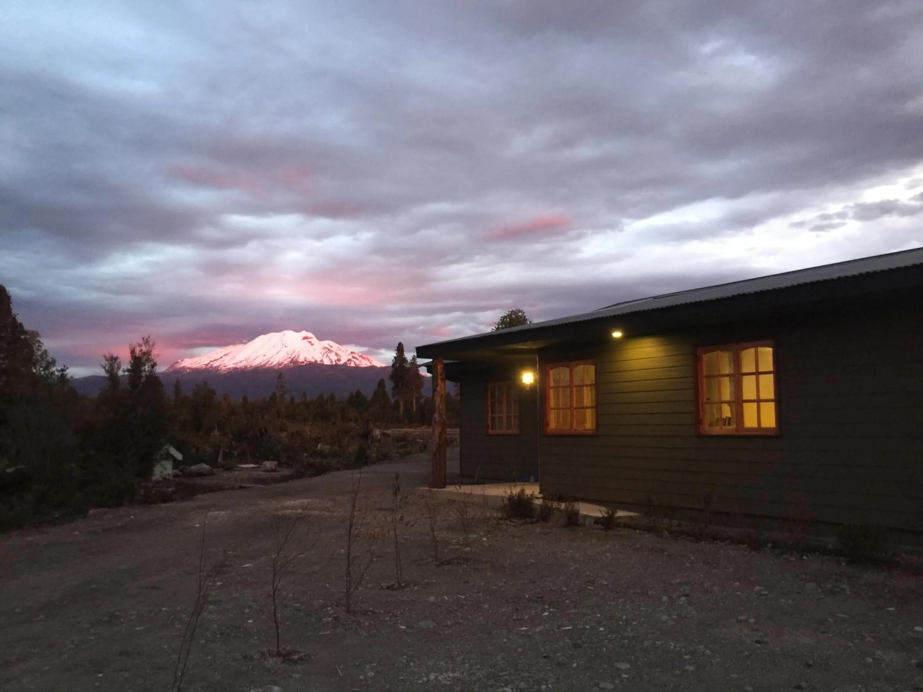 View (from property/room) in Parque la Pajarera