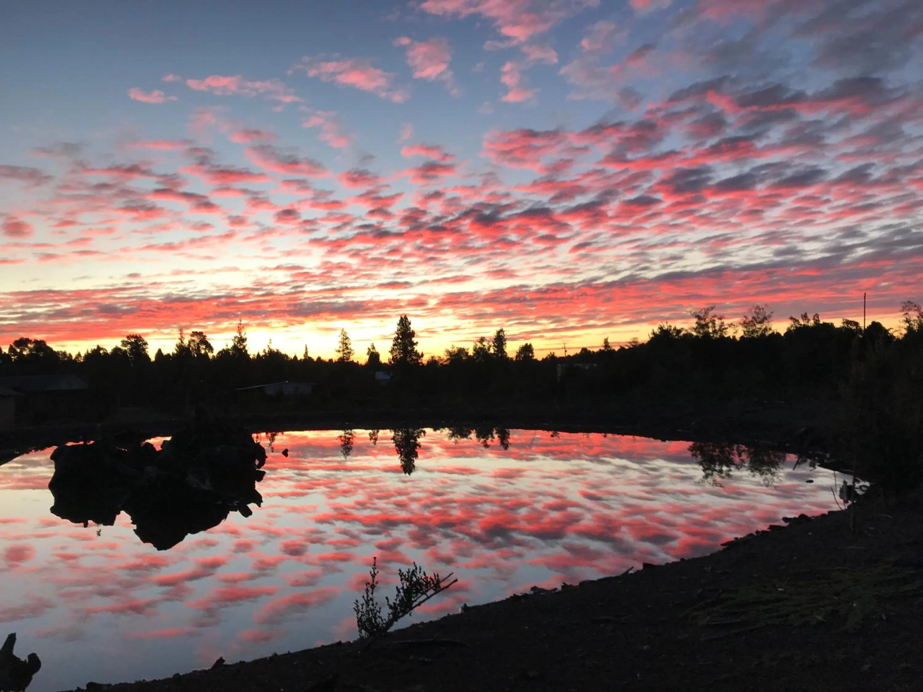 Sunset in Parque la Pajarera