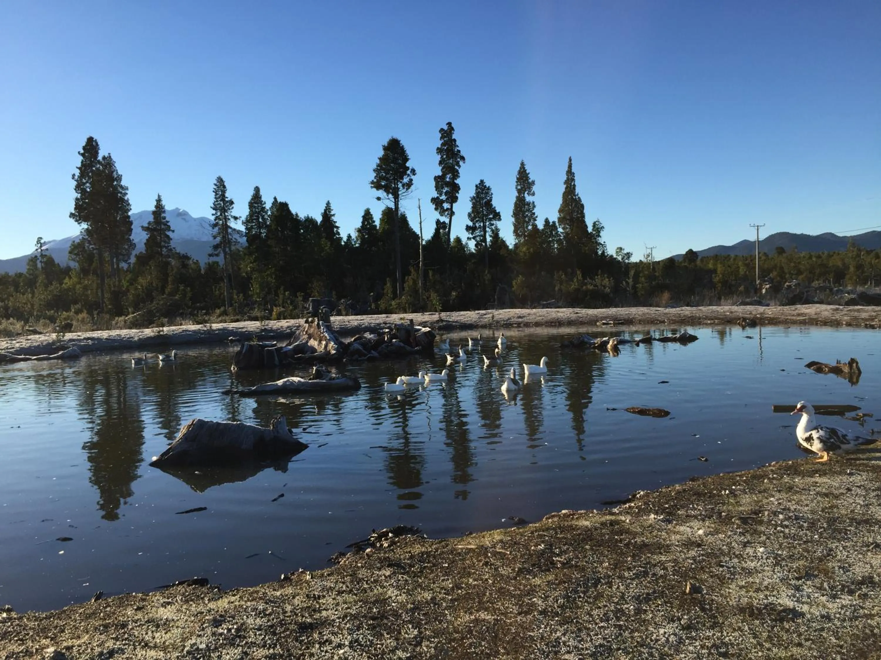 View (from property/room) in Parque la Pajarera