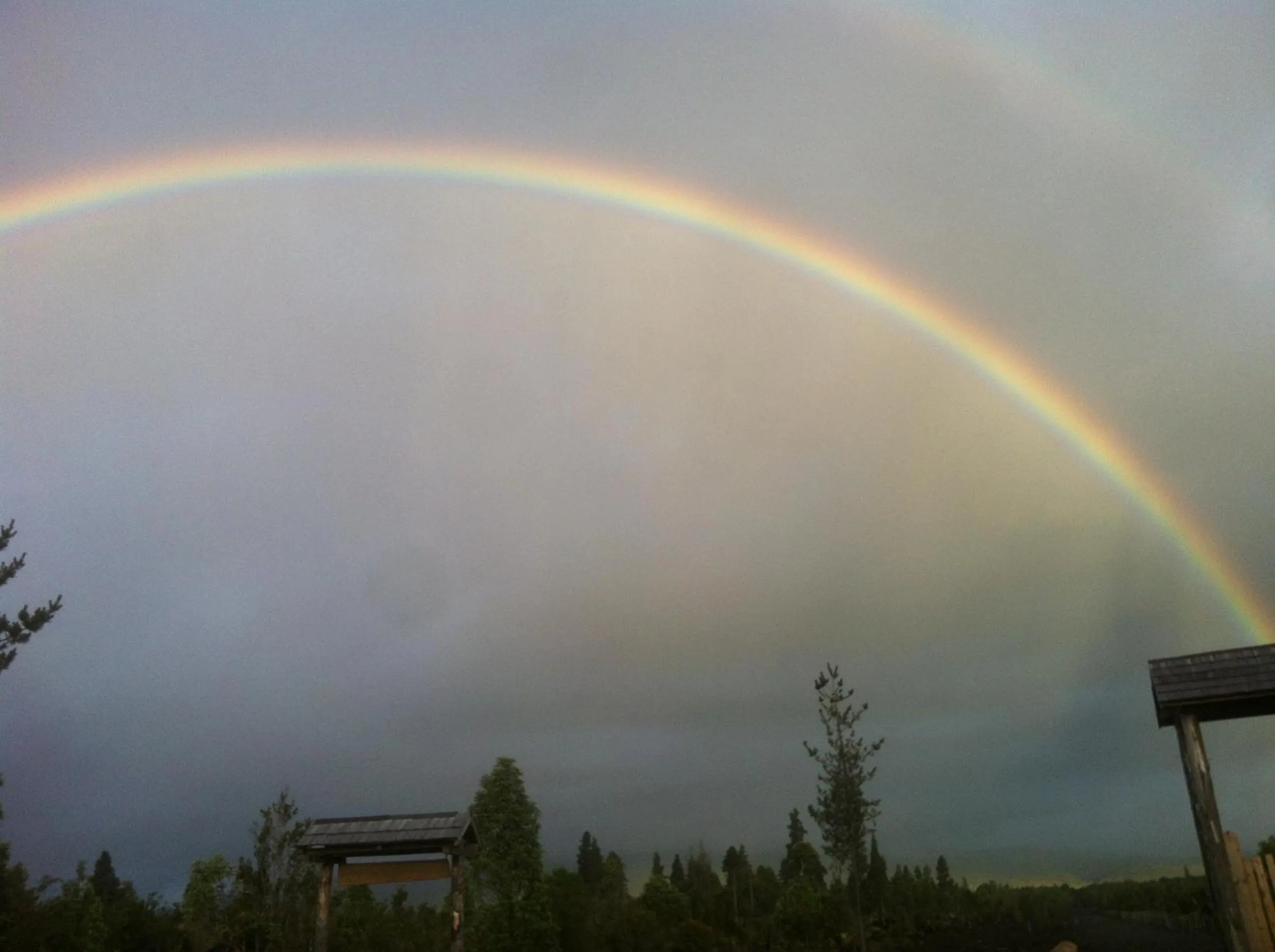 Natural landscape in Parque la Pajarera