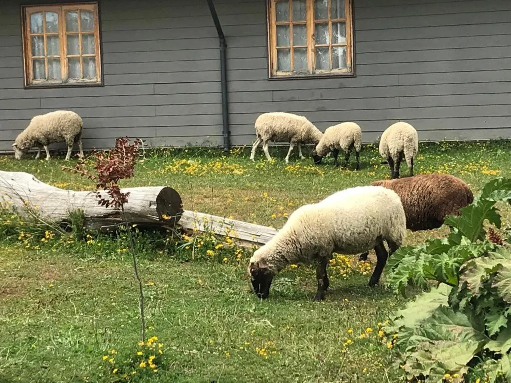 Animals in Parque la Pajarera