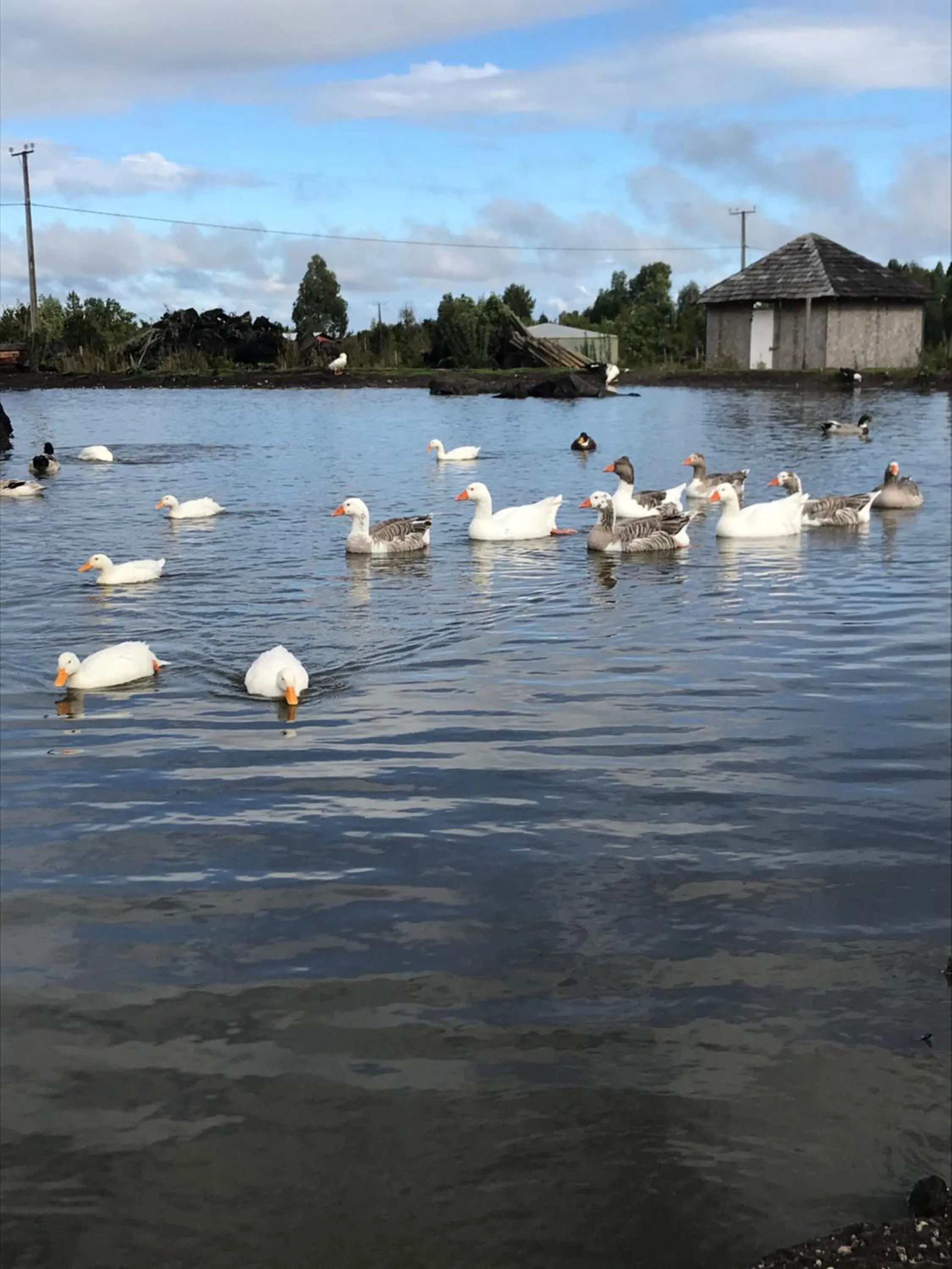 Property building in Parque la Pajarera