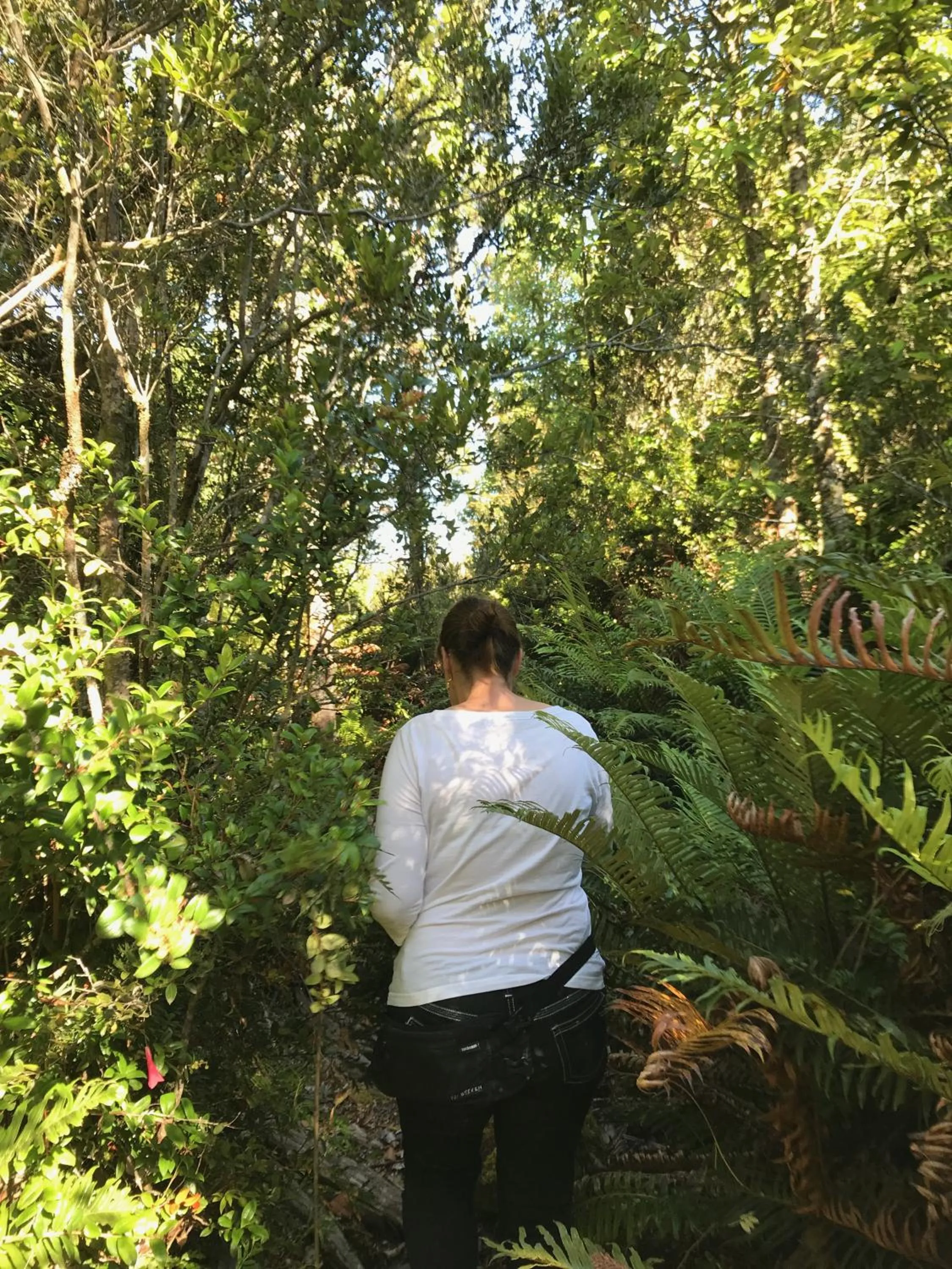 Natural landscape in Parque la Pajarera