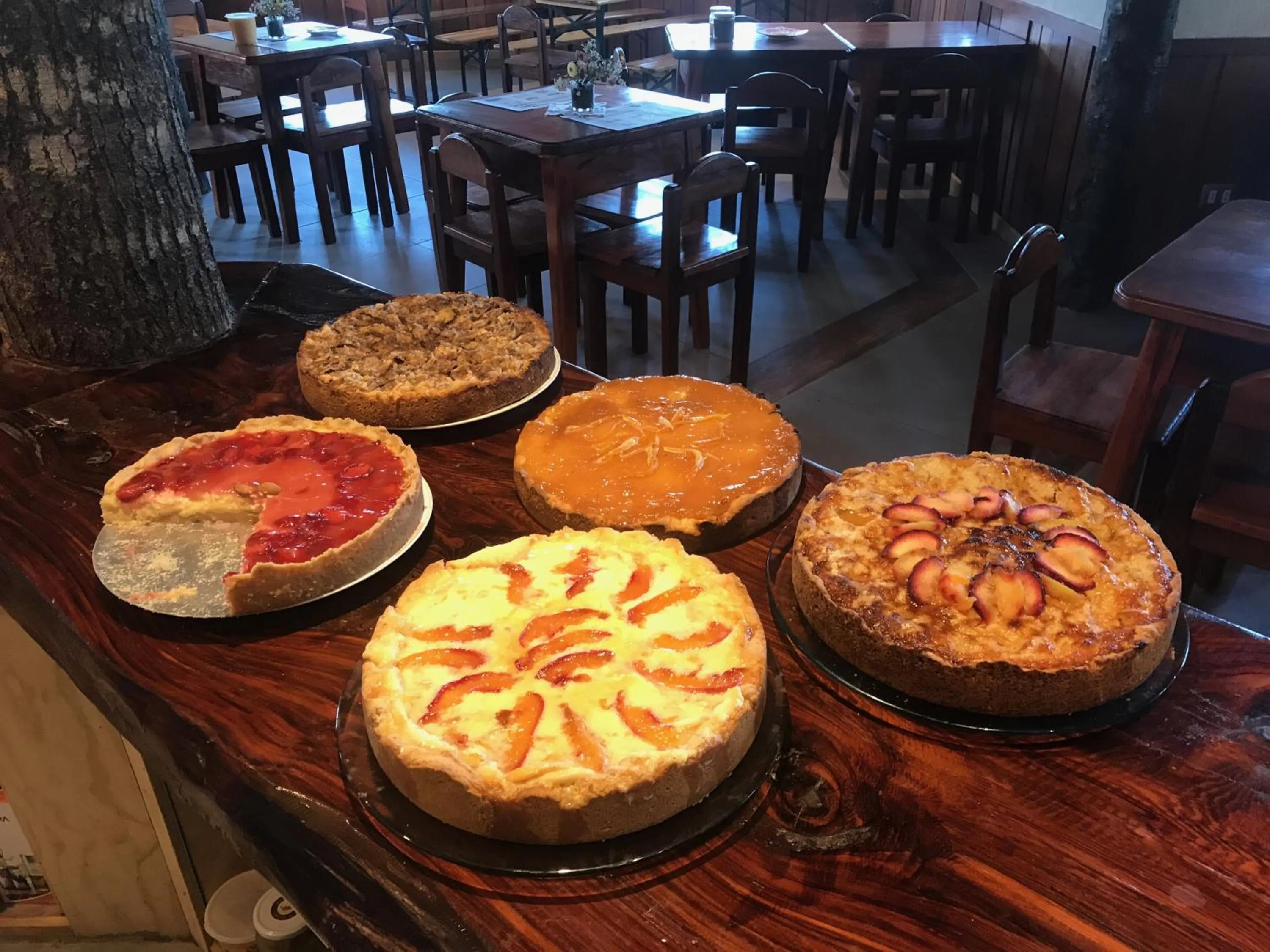 Buffet breakfast in Parque la Pajarera