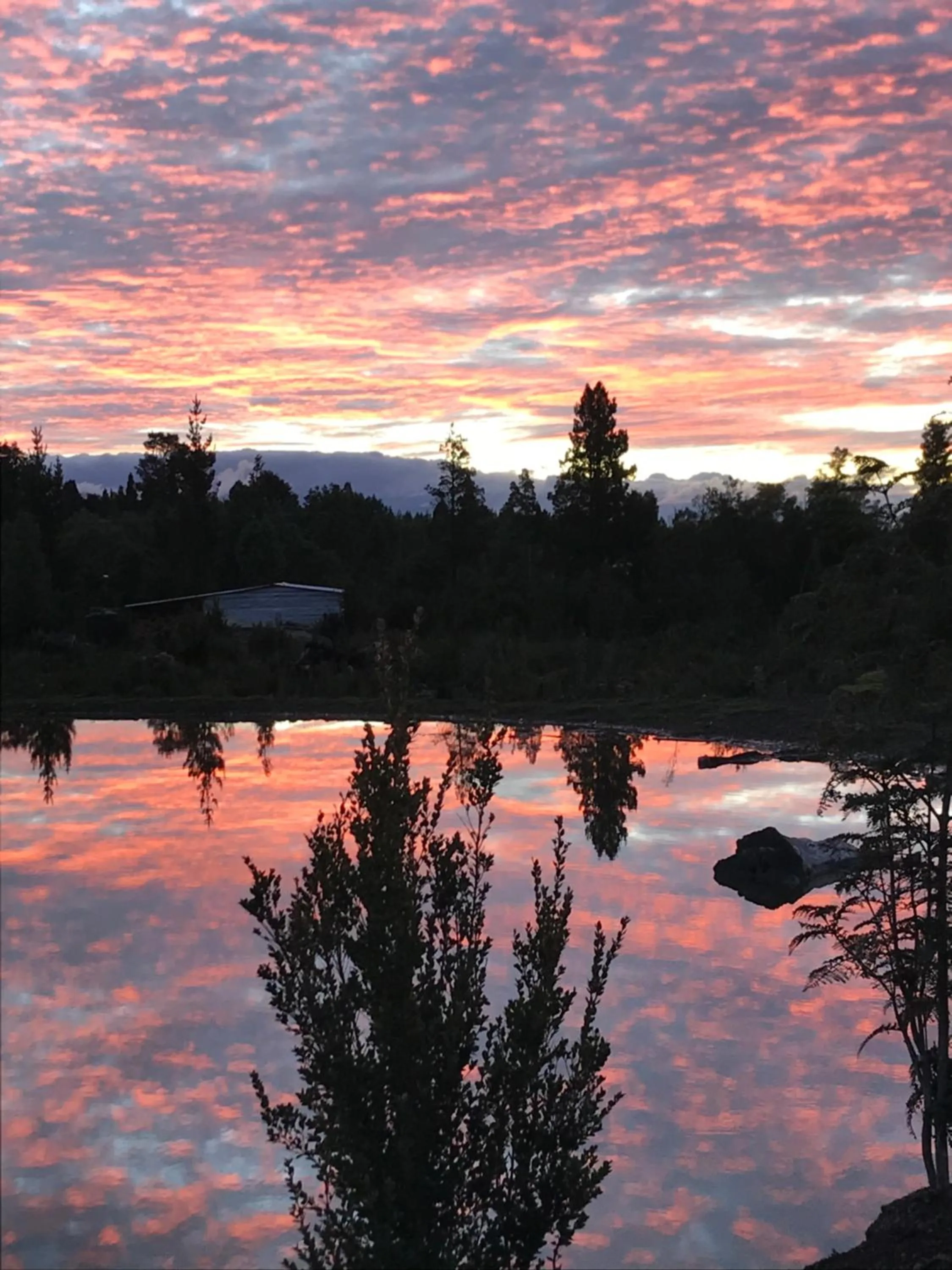 Sunset in Parque la Pajarera
