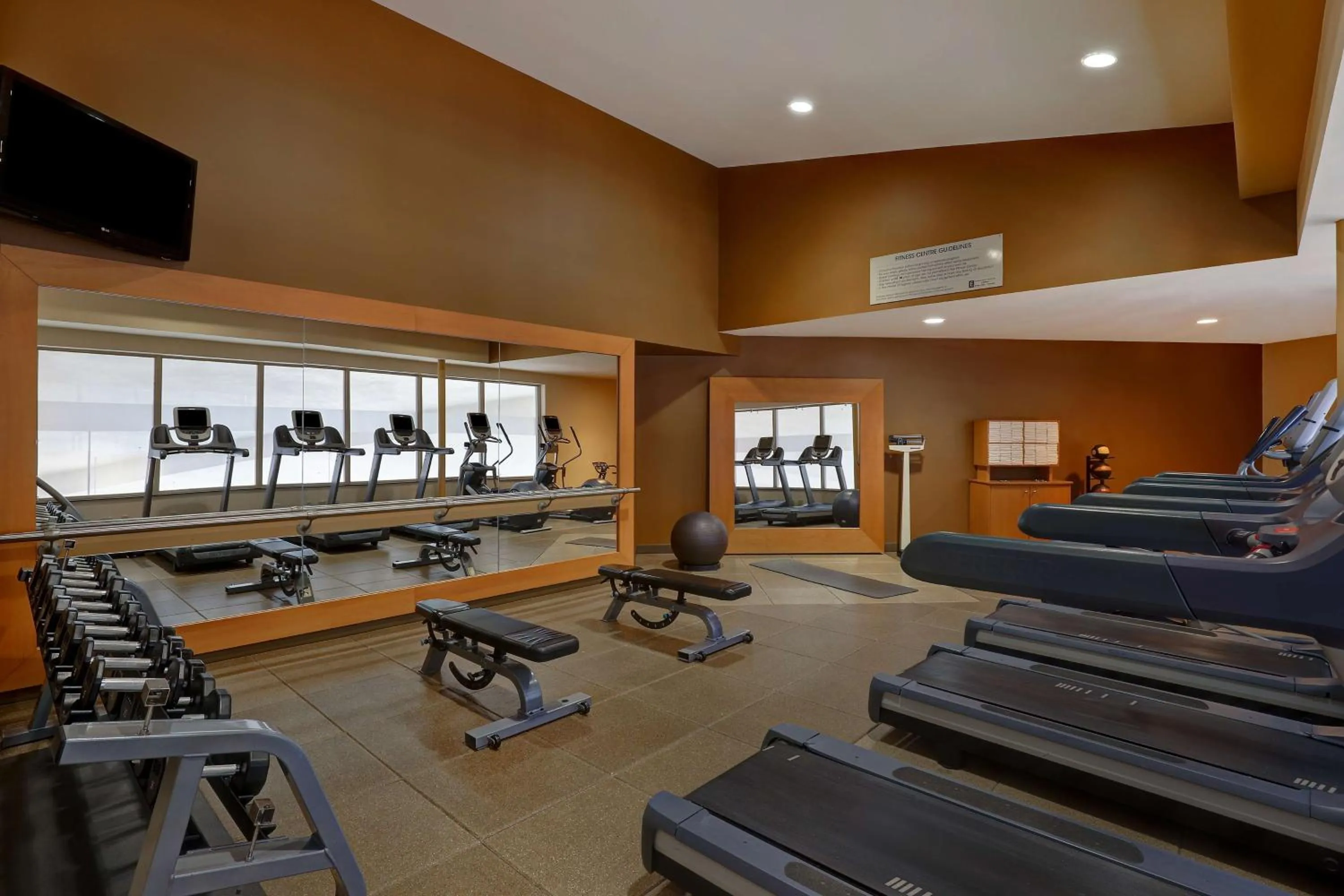 Fitness centre/facilities in Embassy Suites by Hilton Niagara Falls/ Fallsview